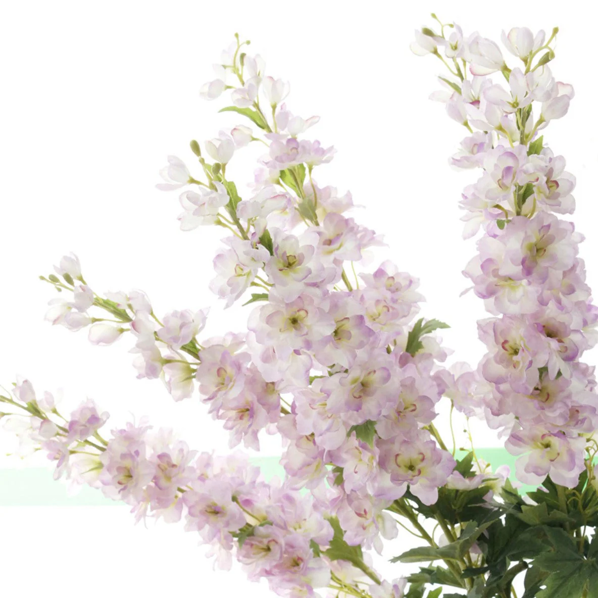 Delphinium Flower - Image 20