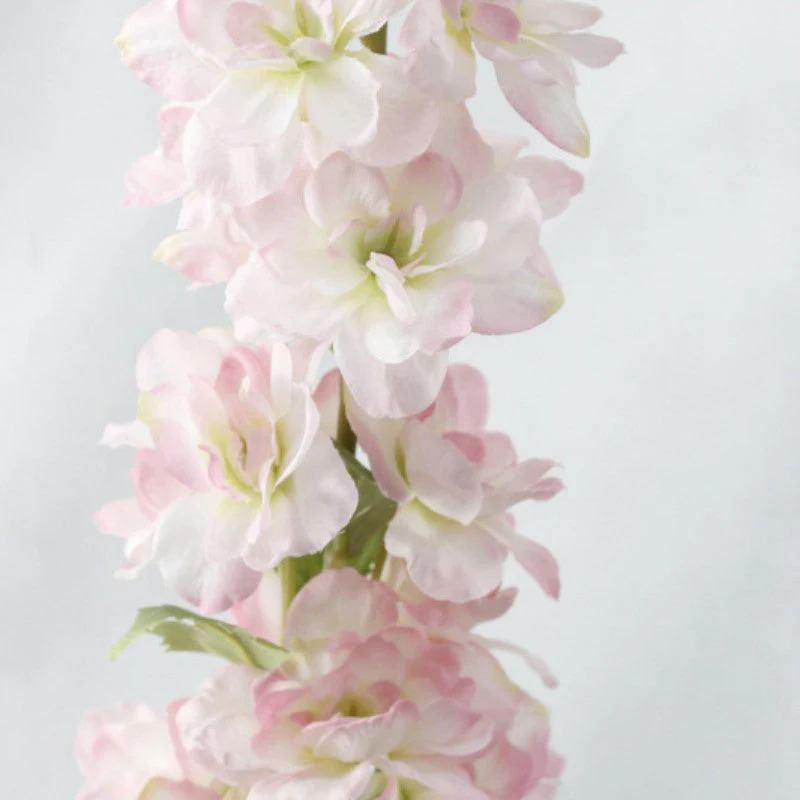 Delphinium Flower - Image 22