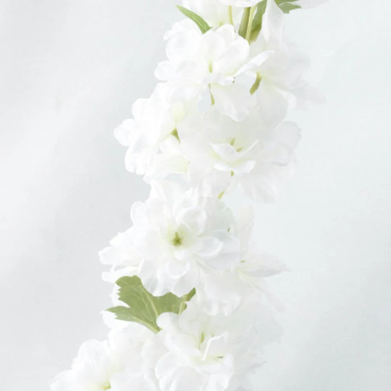 Delphinium Flower - Image 24