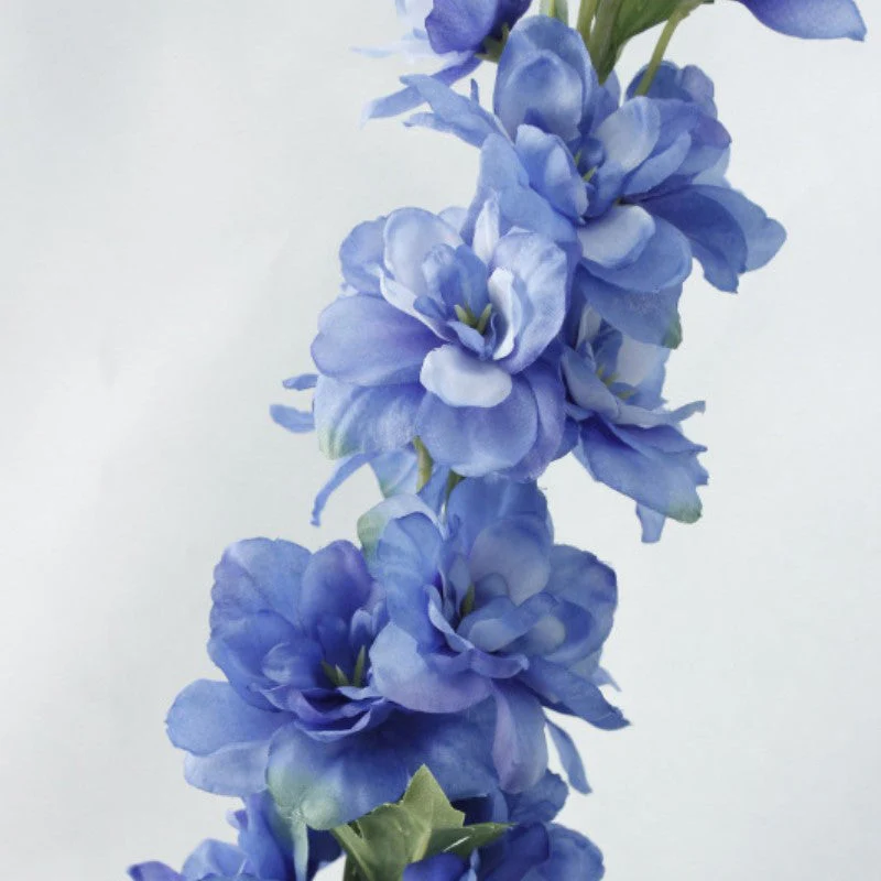 Delphinium Flower - Image 26