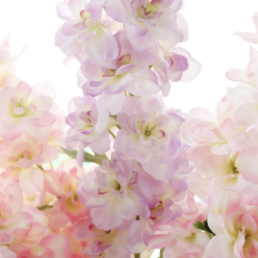 Delphinium Flower - Image 6