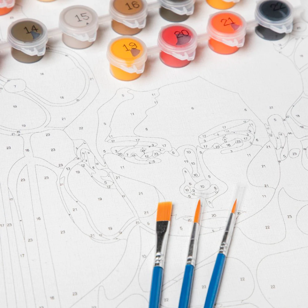DIY Painting By Numbers Kit Girl With Poppy - Image 5