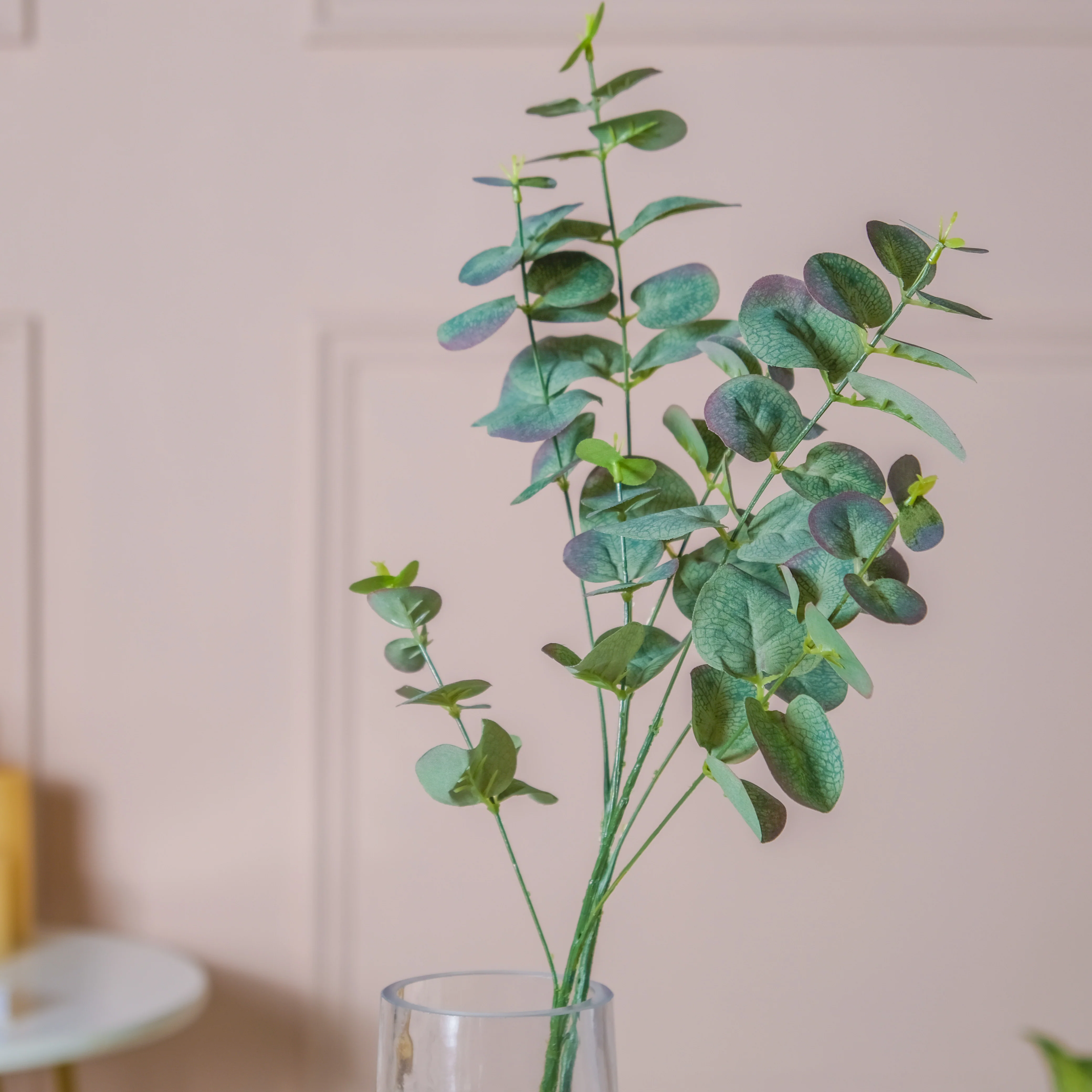 Eucalyptus Leaf Stem - Image 3