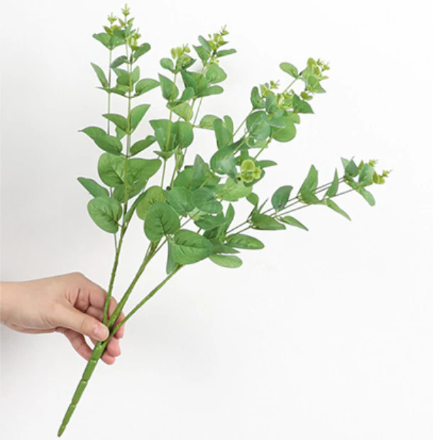 Eucalyptus Leaves - Image 12