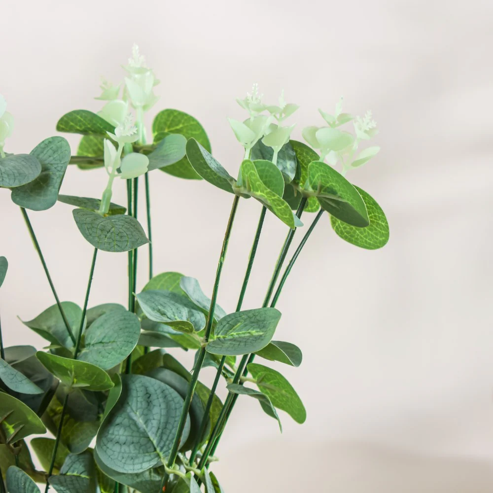 Eucalyptus Leaves - Image 4
