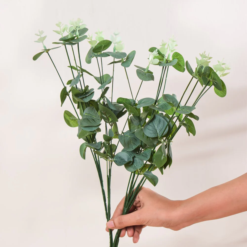 Eucalyptus Leaves - Image 6