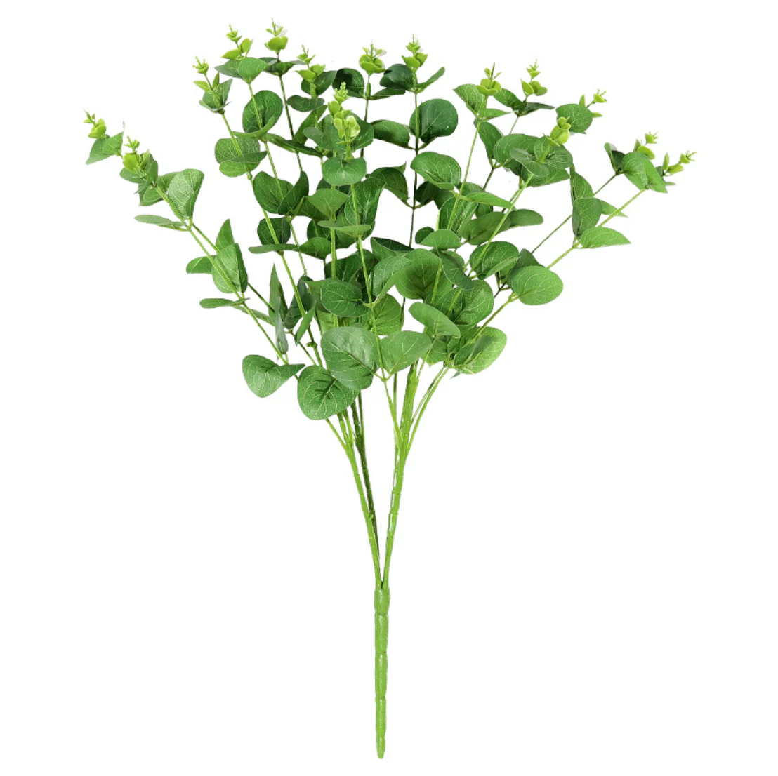 Eucalyptus Leaves - Image 9