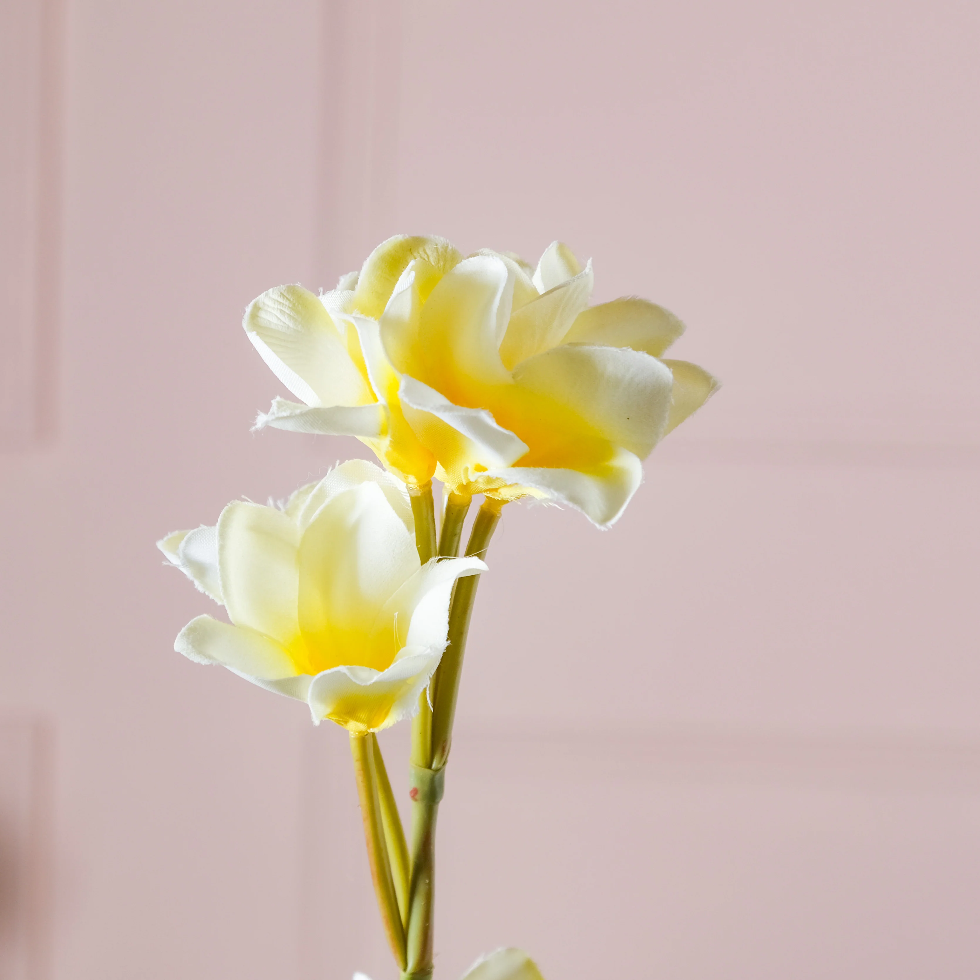 Faux Blossoms - Image 2