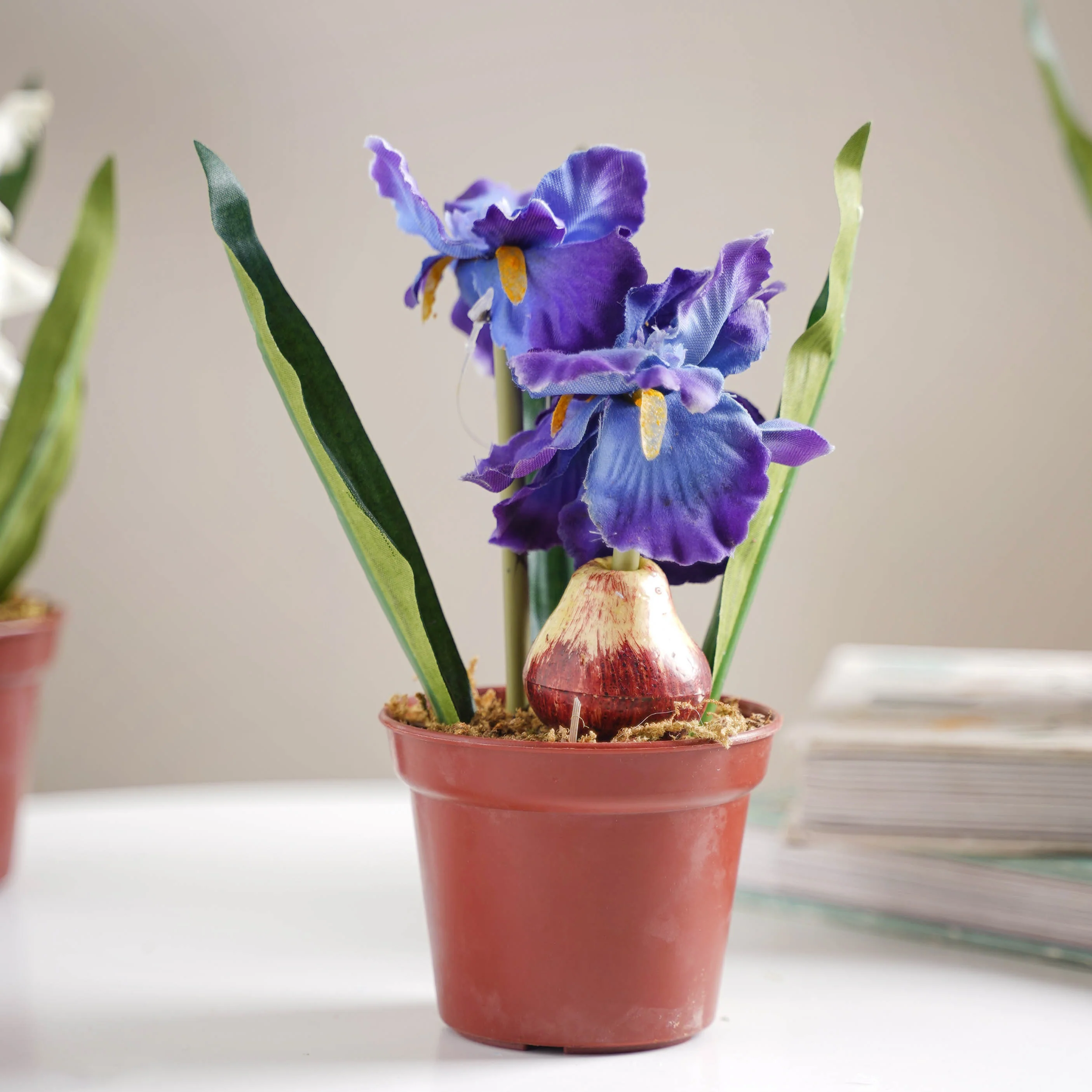 Faux Iris Plant - Image 10
