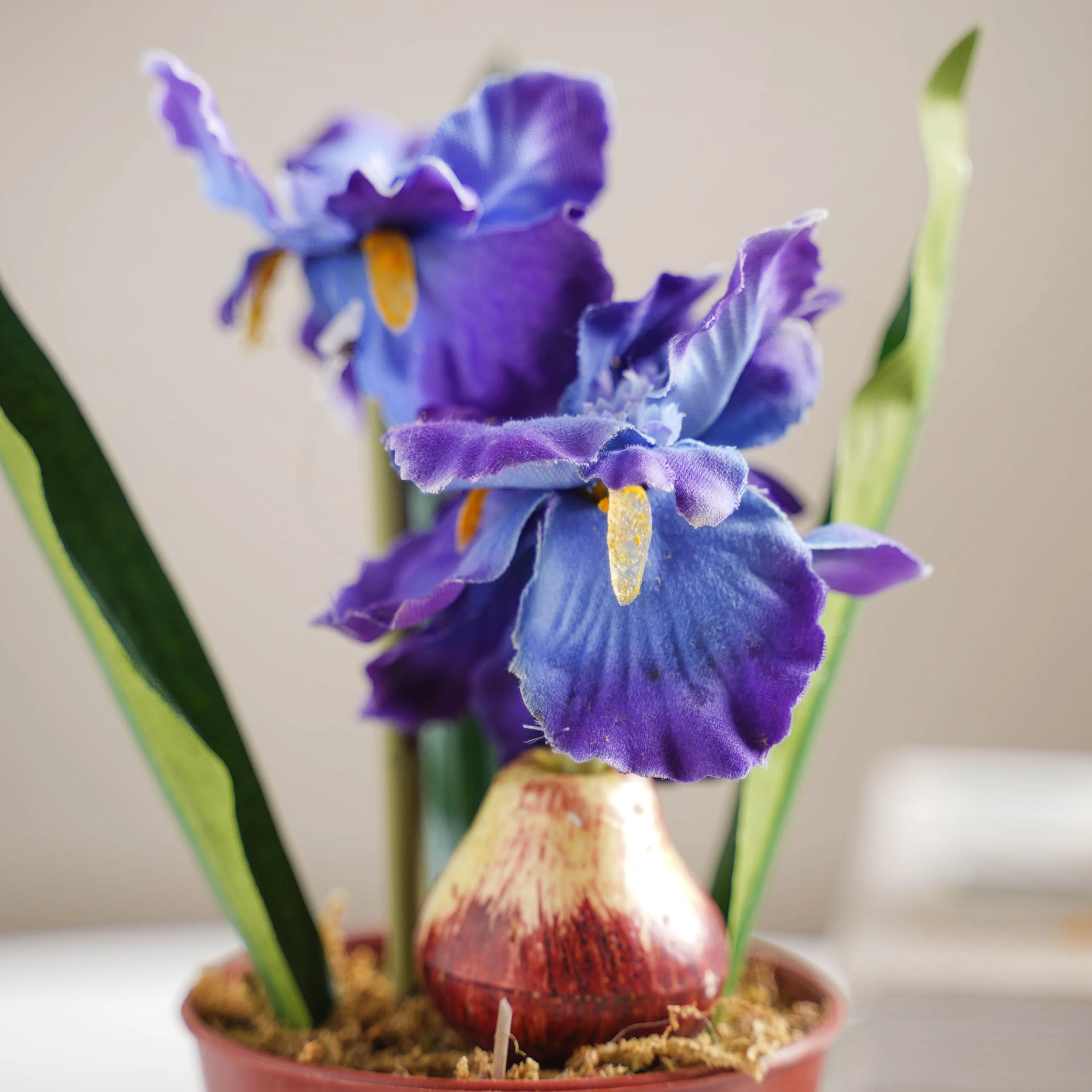 Faux Iris Plant - Image 3