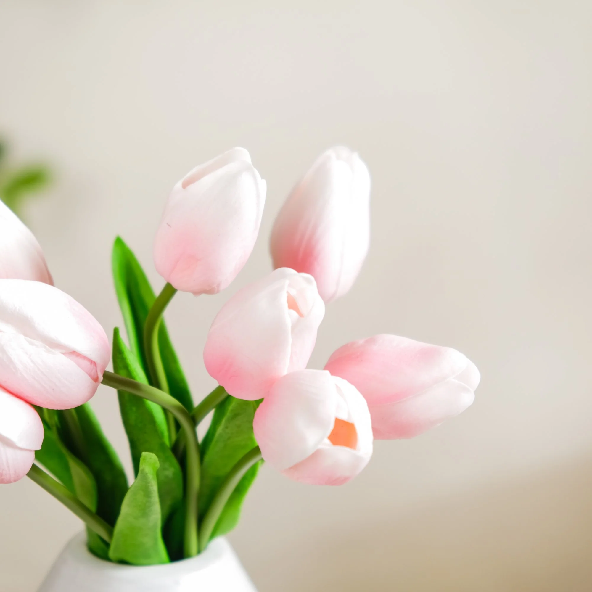 Faux Tulip - Image 2