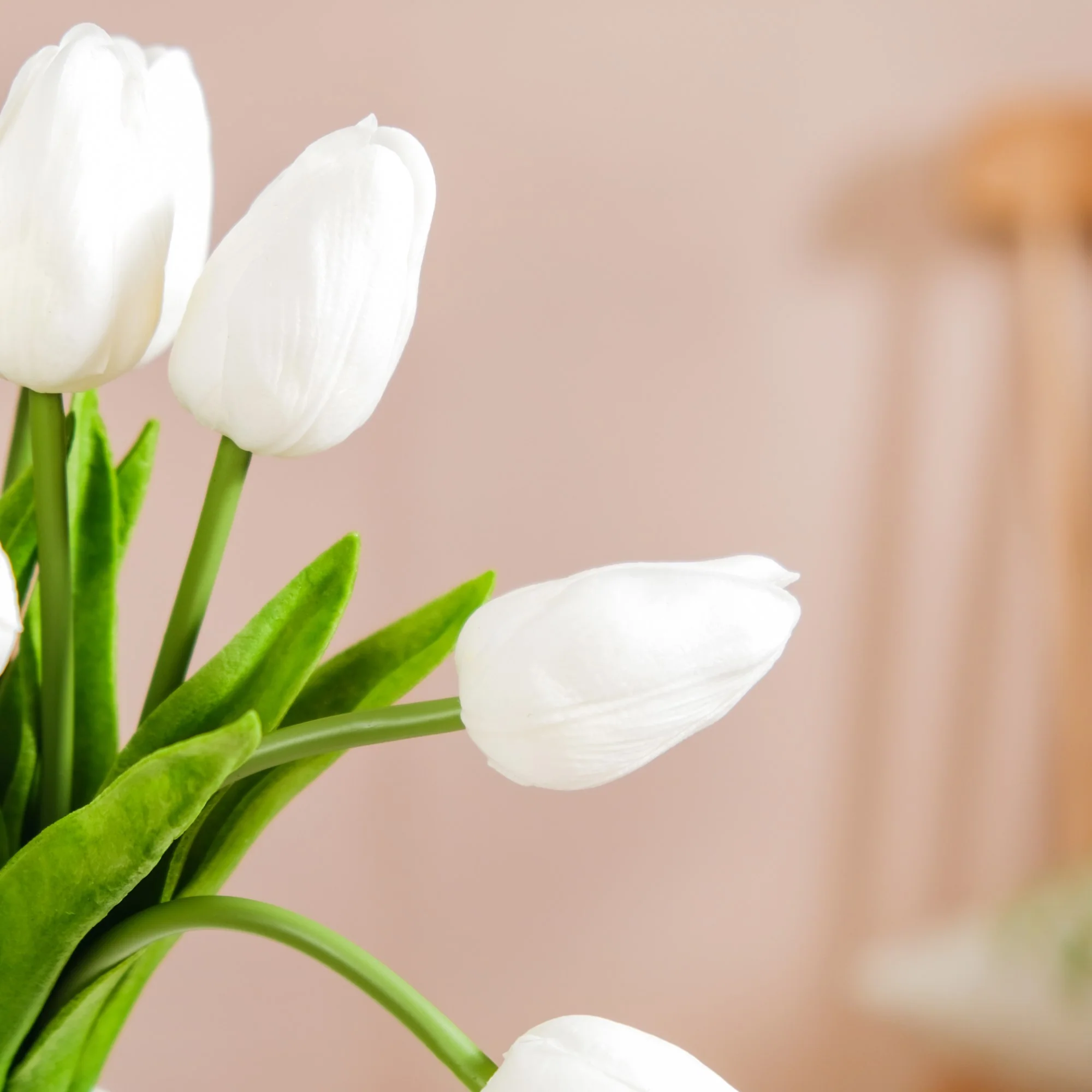 Faux Tulip - Image 5