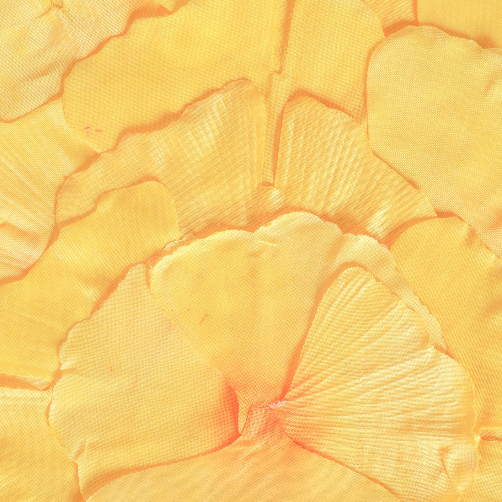 Floral Placemat Set of 2 - Image 6