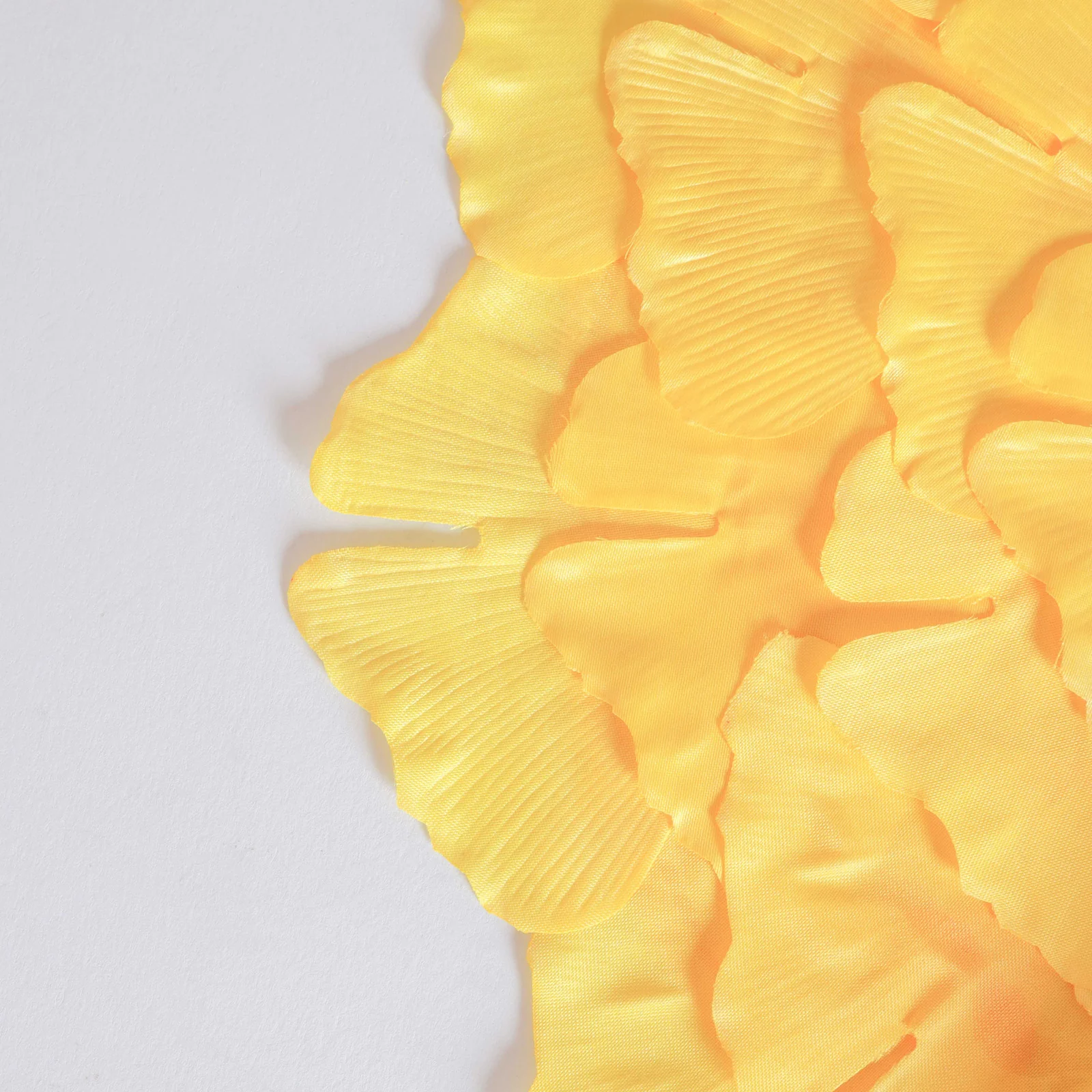 Floral Placemat Set of 2 - Image 7