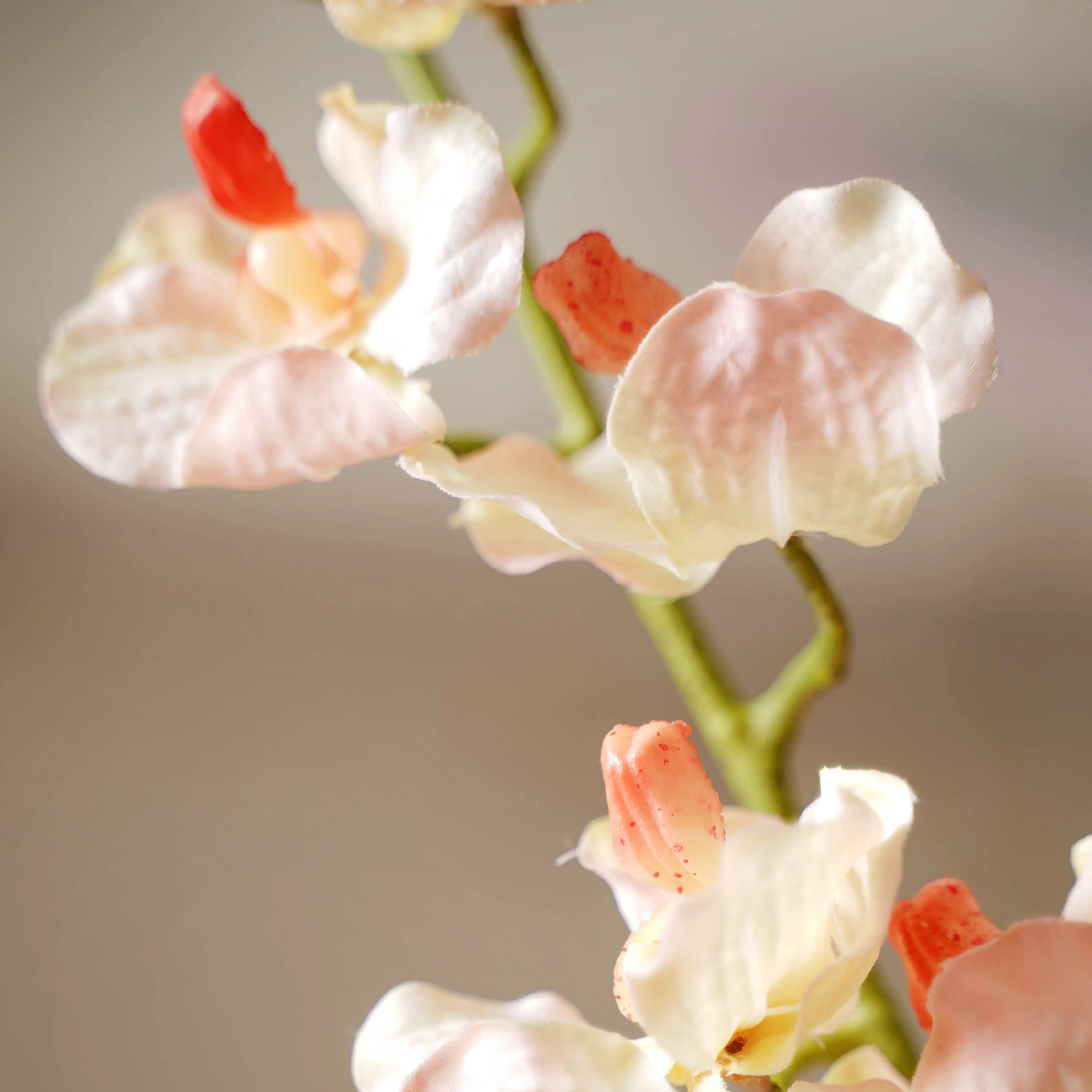 Floral Stem - Image 7
