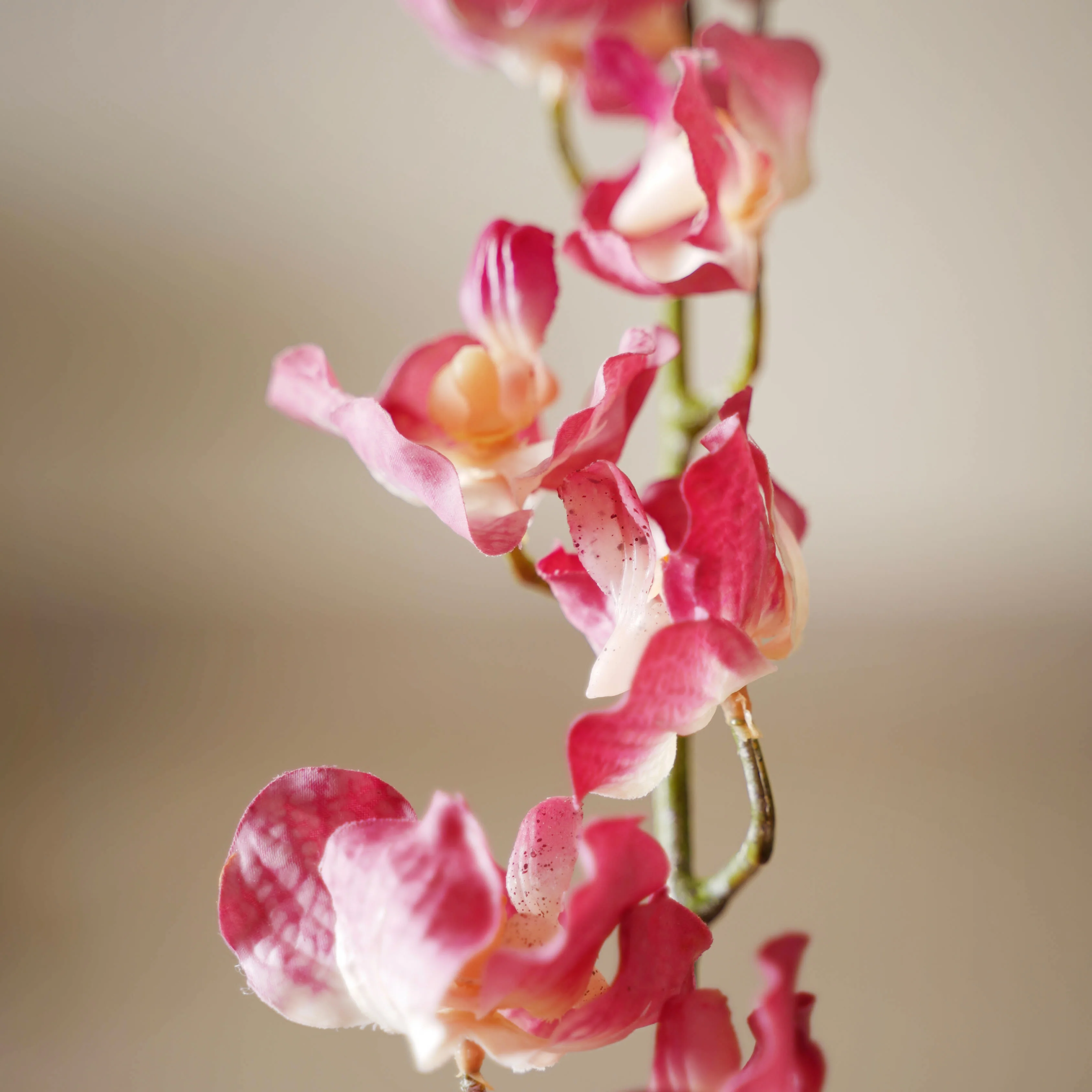Floral Stem - Image 8