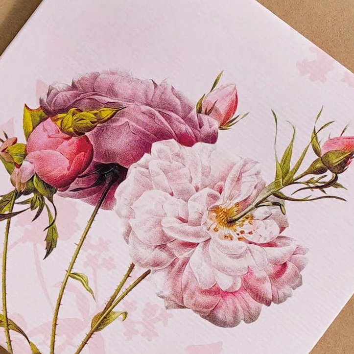 Garden Rose Money Envelope Pastel Pink Set Of 12 - Image 9