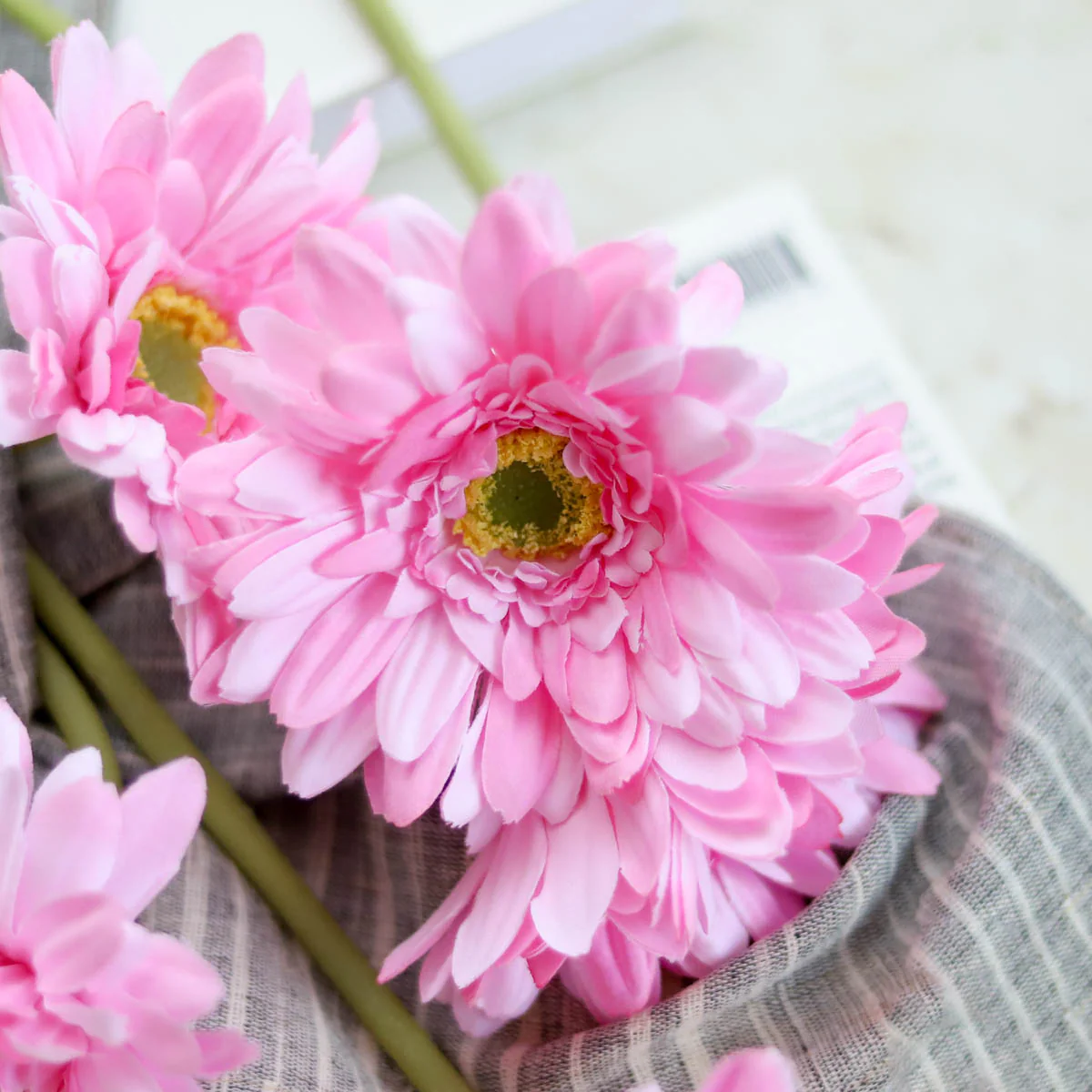 Gerbera Flower - Image 7