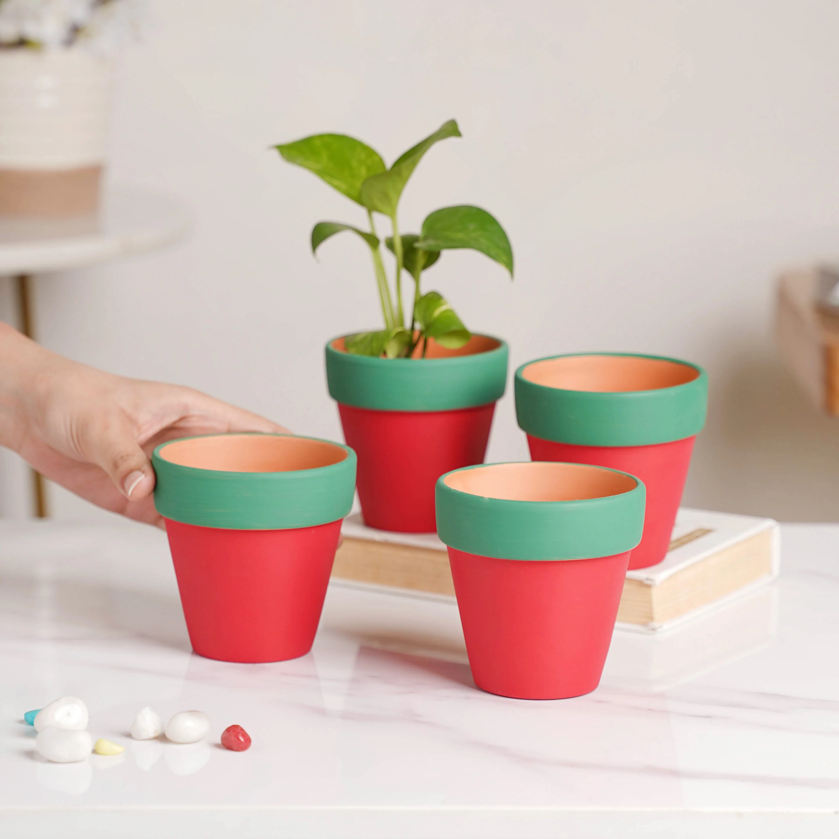 Green Rim Red Clay Pot Set Of 4 - Image 2