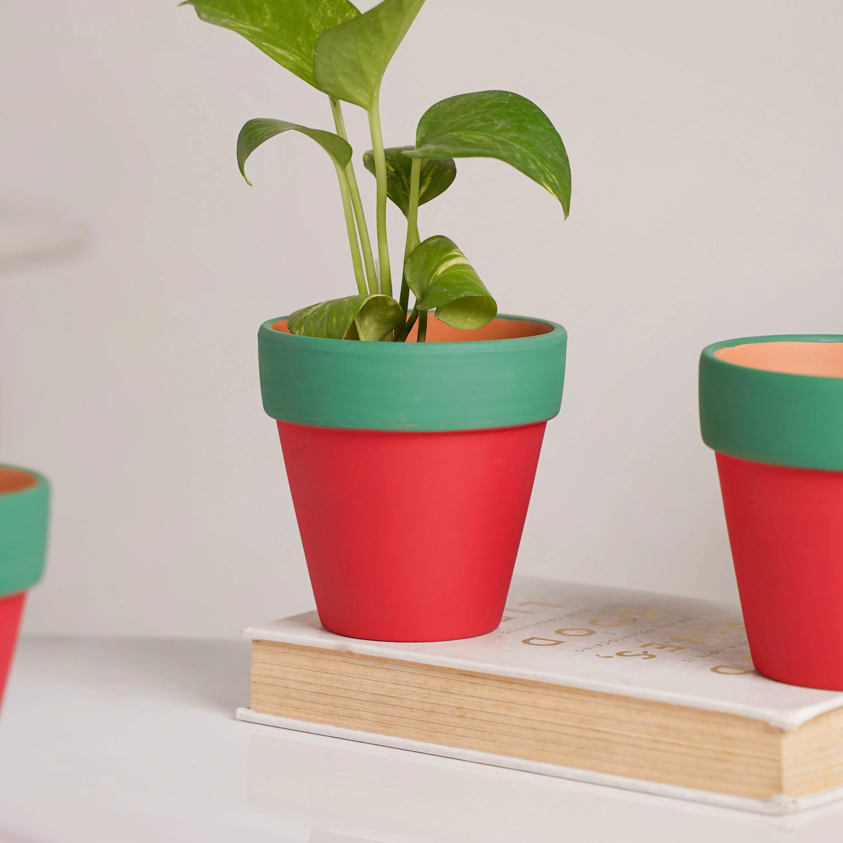 Green Rim Red Clay Pot Set Of 4 - Image 8