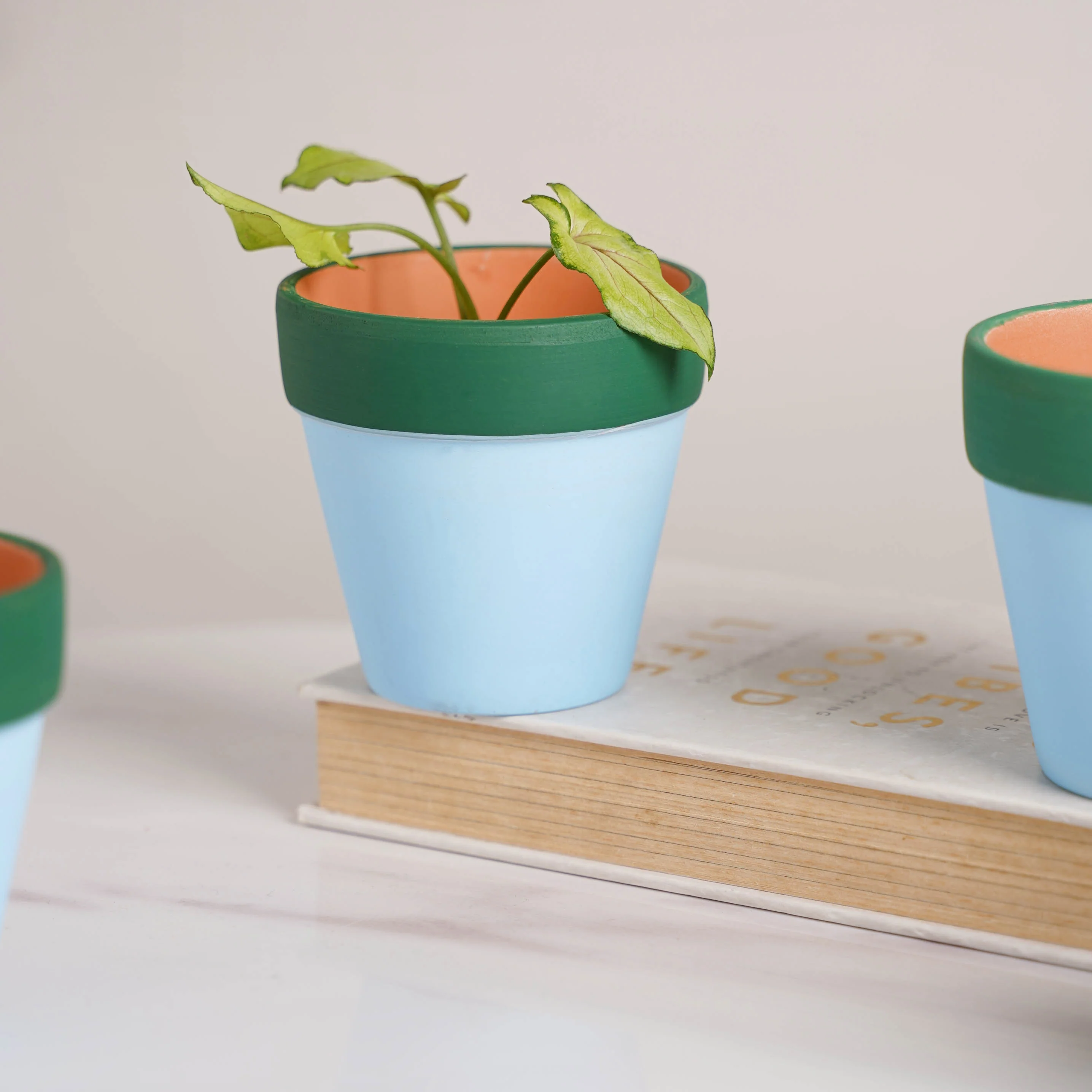 Green Rim Sky Blue Mini Pot Set Of 4 - Image 6