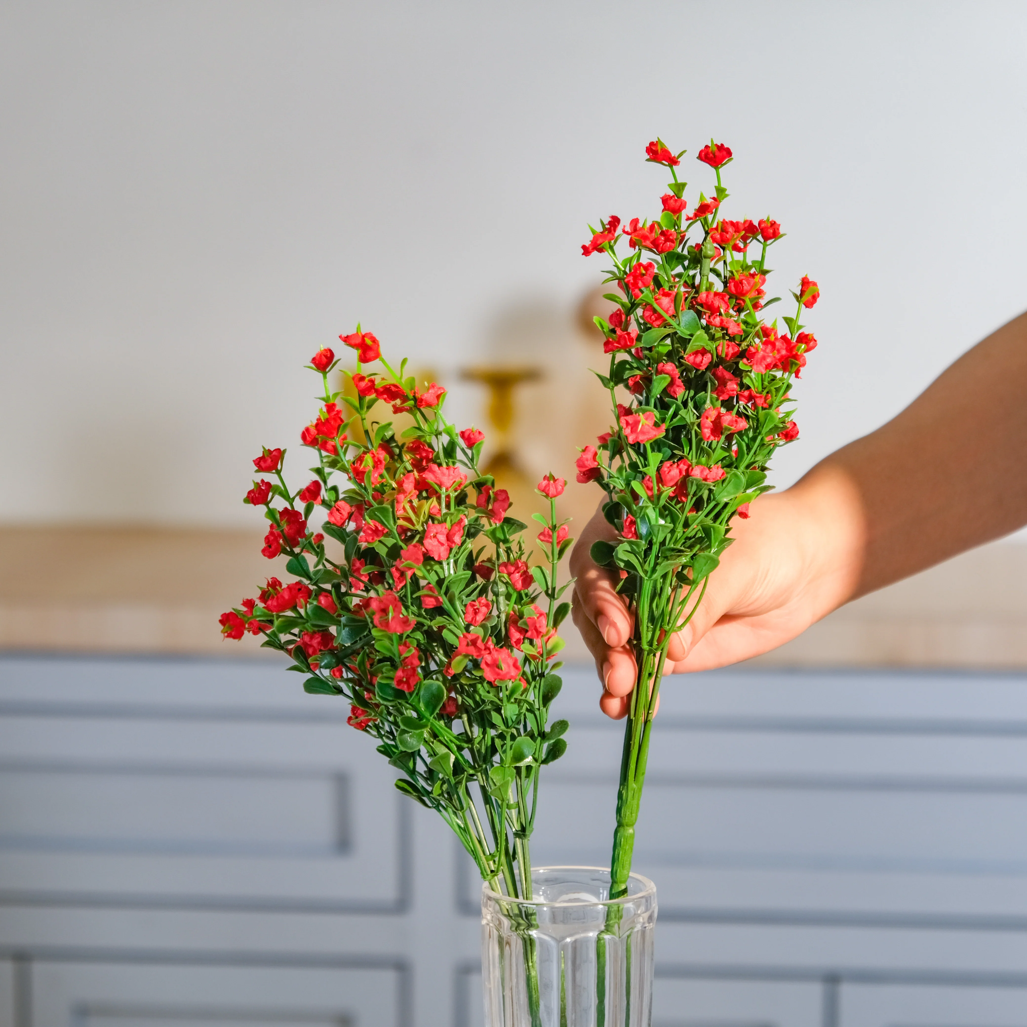 Gypsophila Flower - Image 4