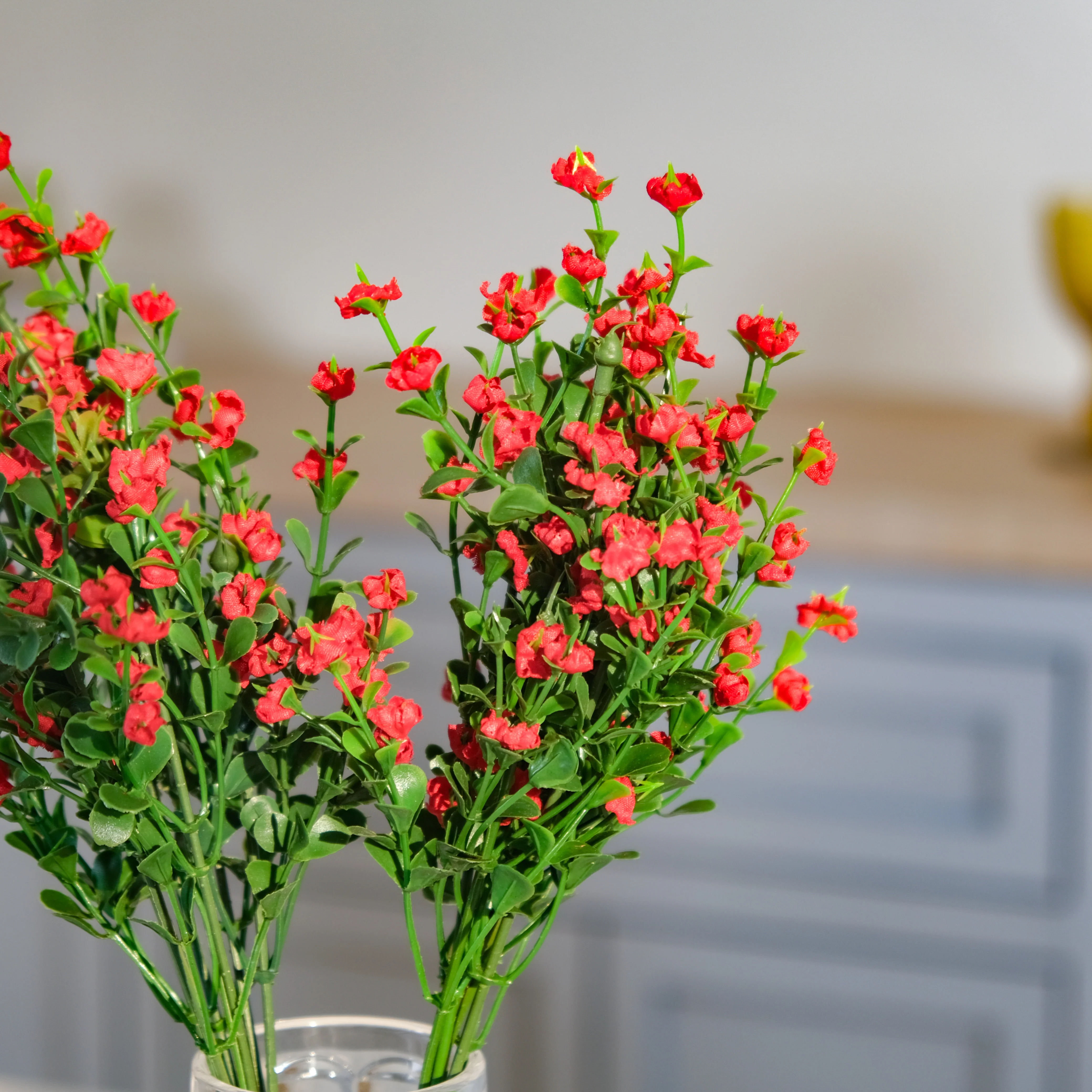 Gypsophila Flower - Image 6