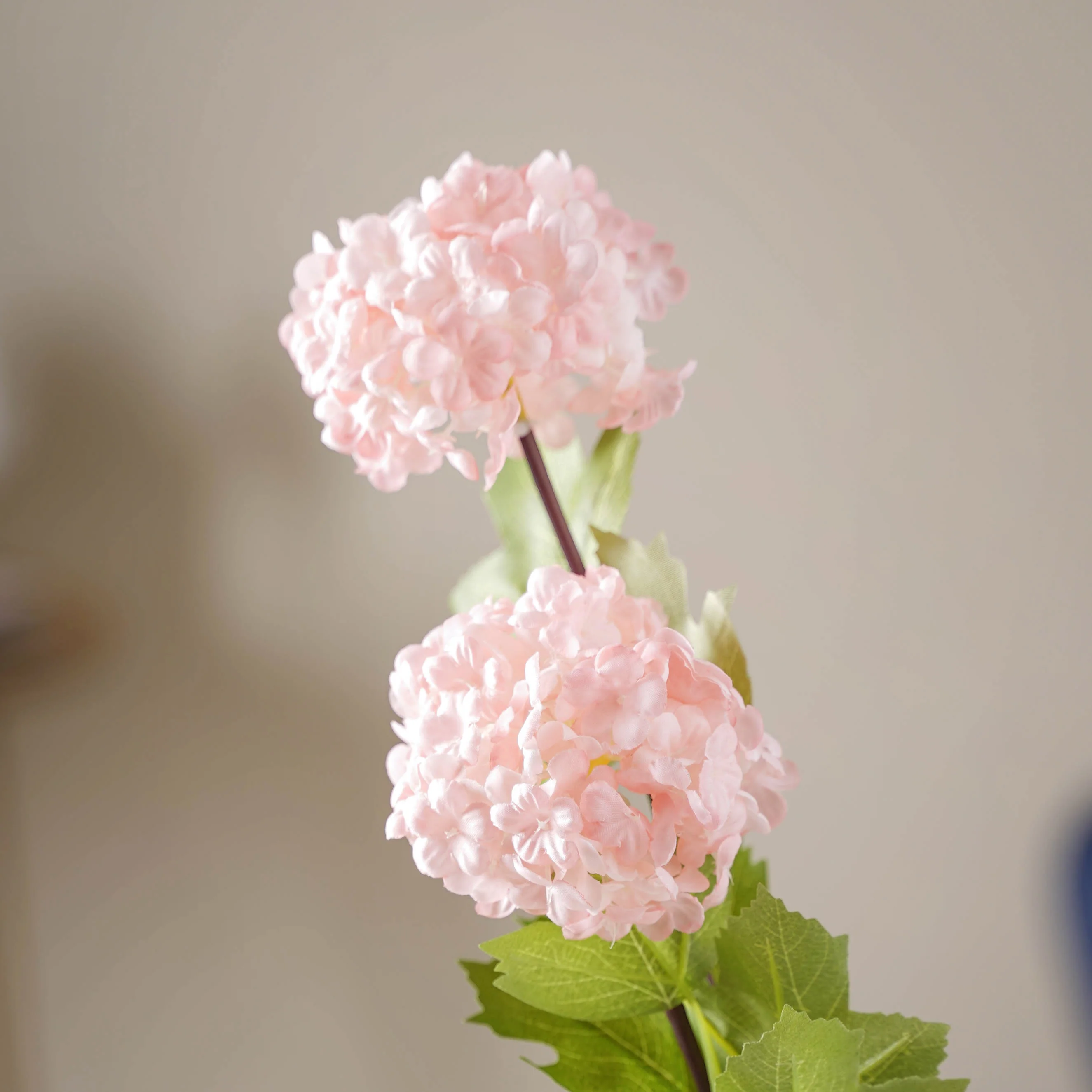 Hydrangea Flower Stem - Image 5
