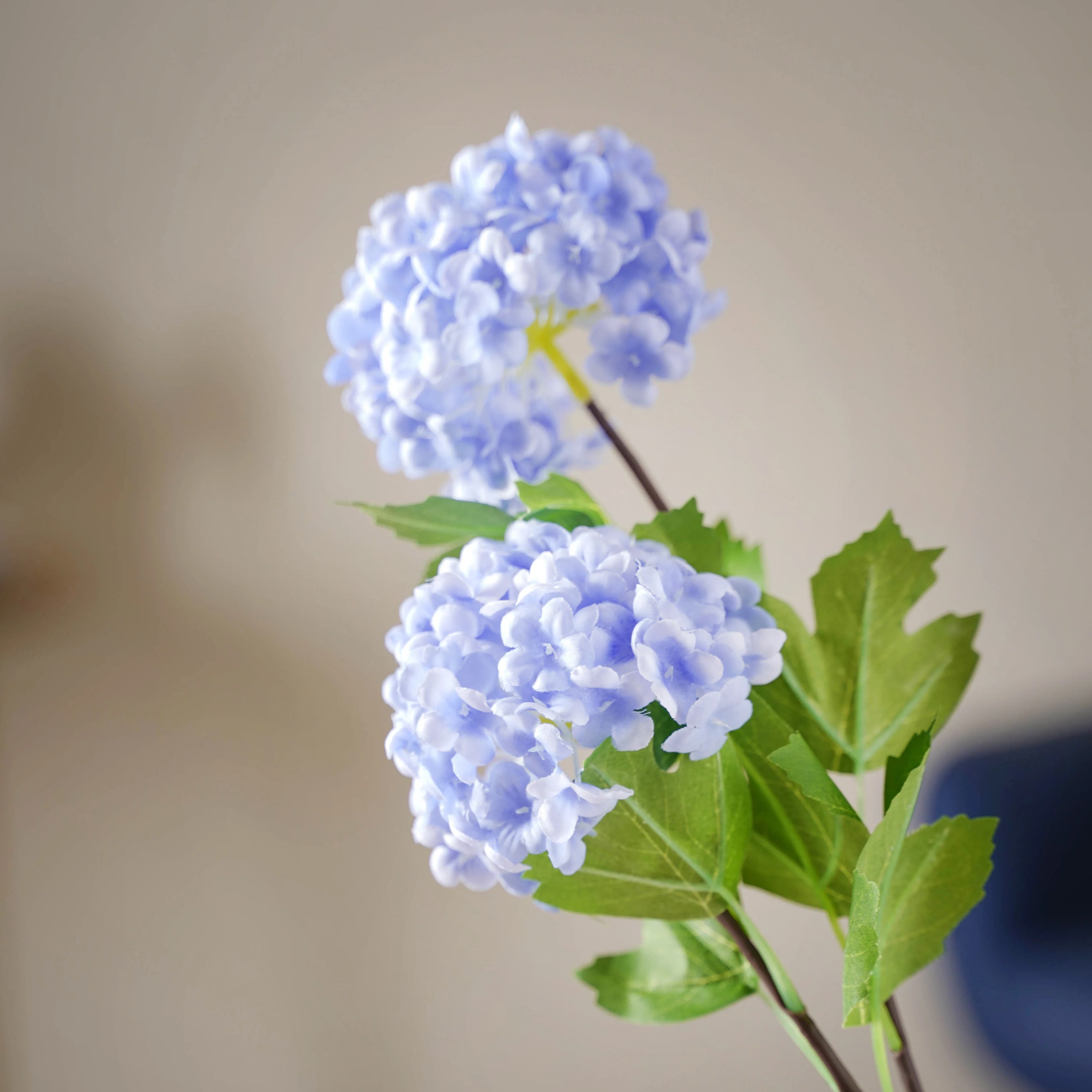 Hydrangea Flower Stem - Image 7
