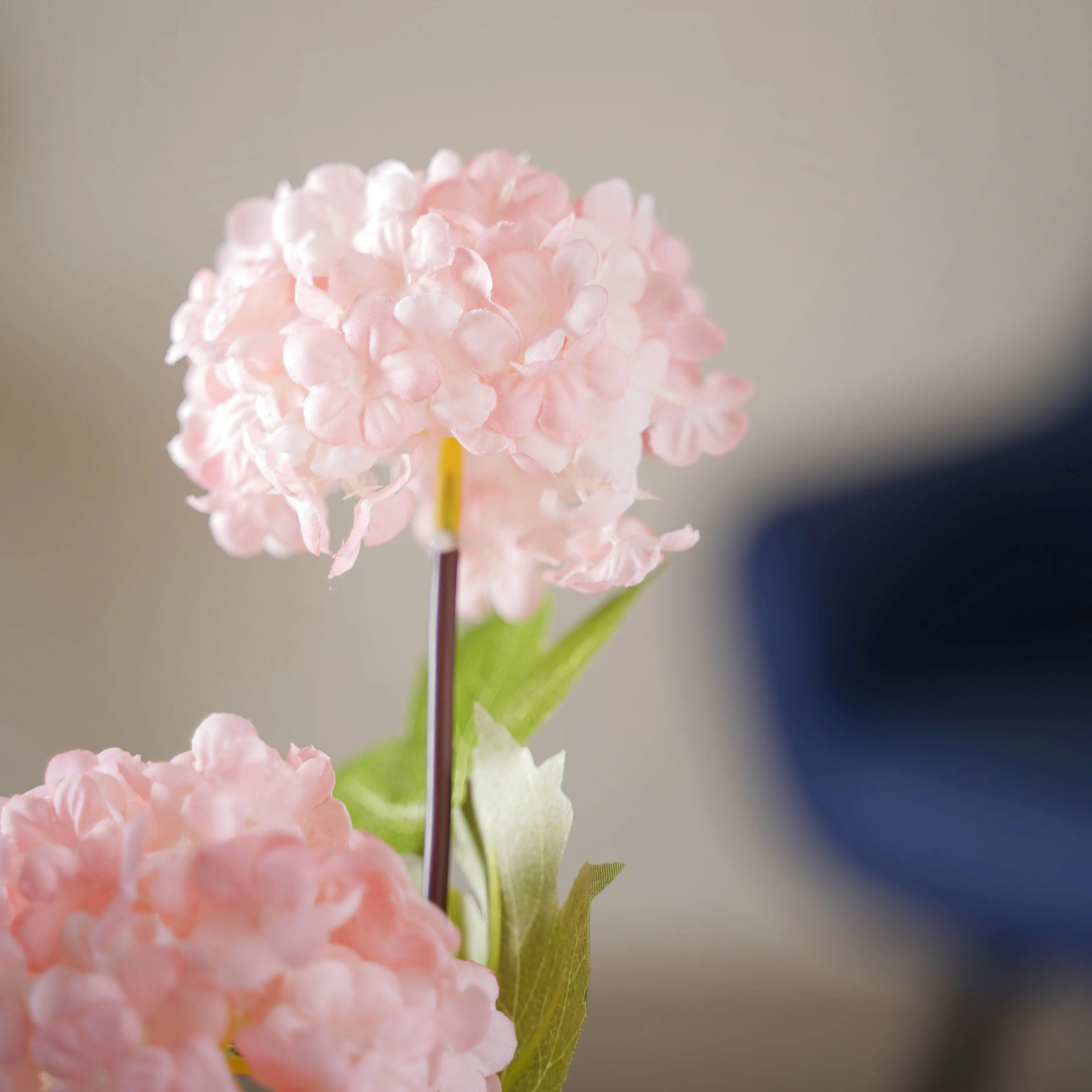 Hydrangea Flower Stem - Image 8