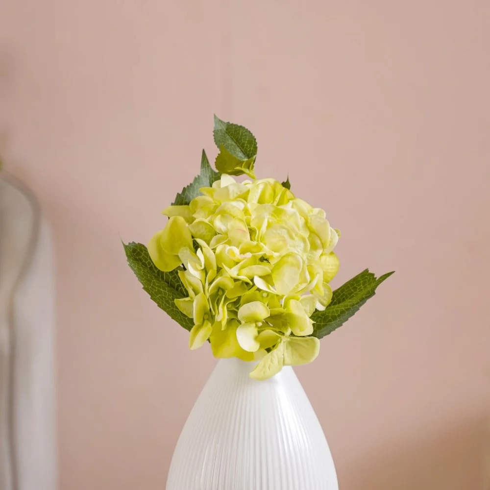 Hydrangea With Leaves Green - Image 5