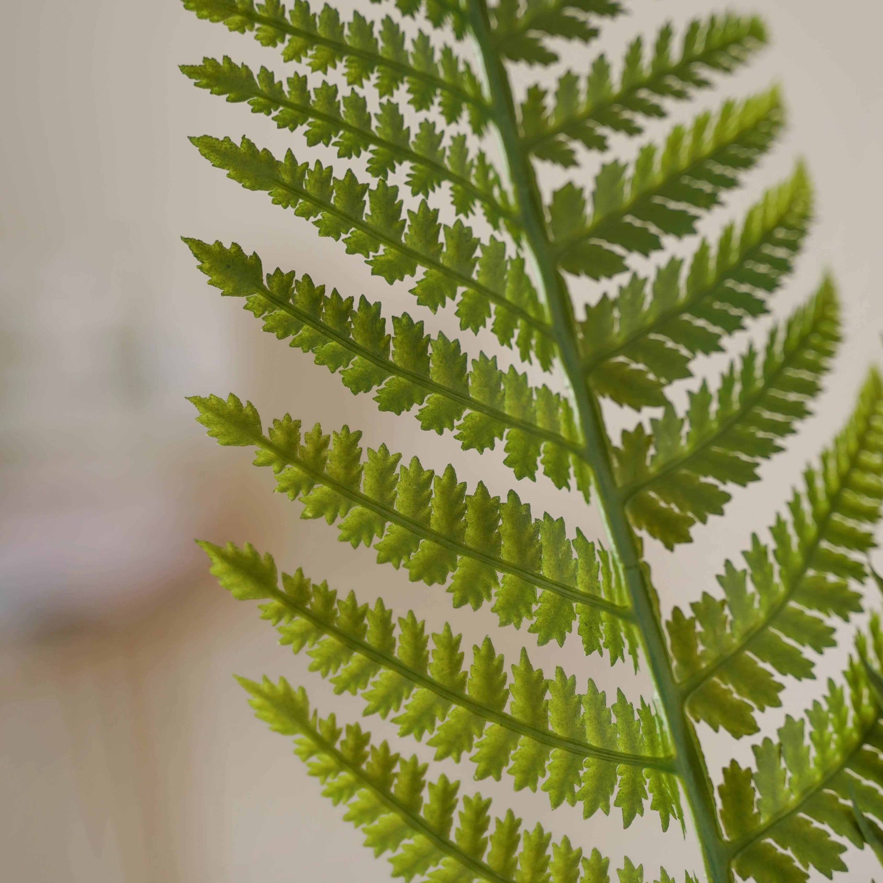 Large Green Leaf - Image 7