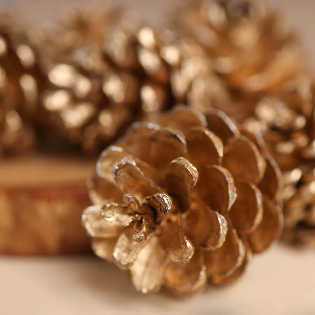 Large Pine Cones - Image 8