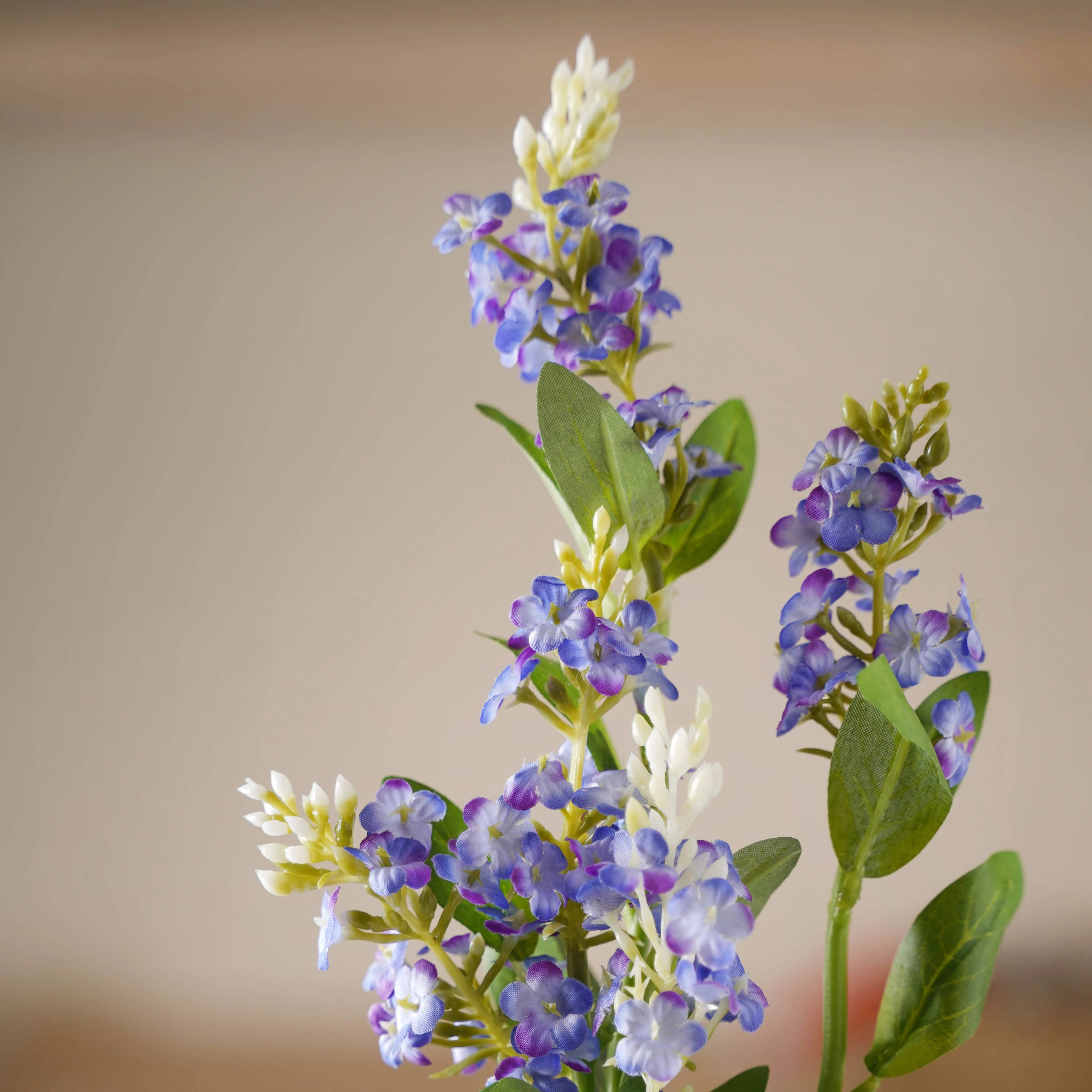 Lavender Flower - Image 2