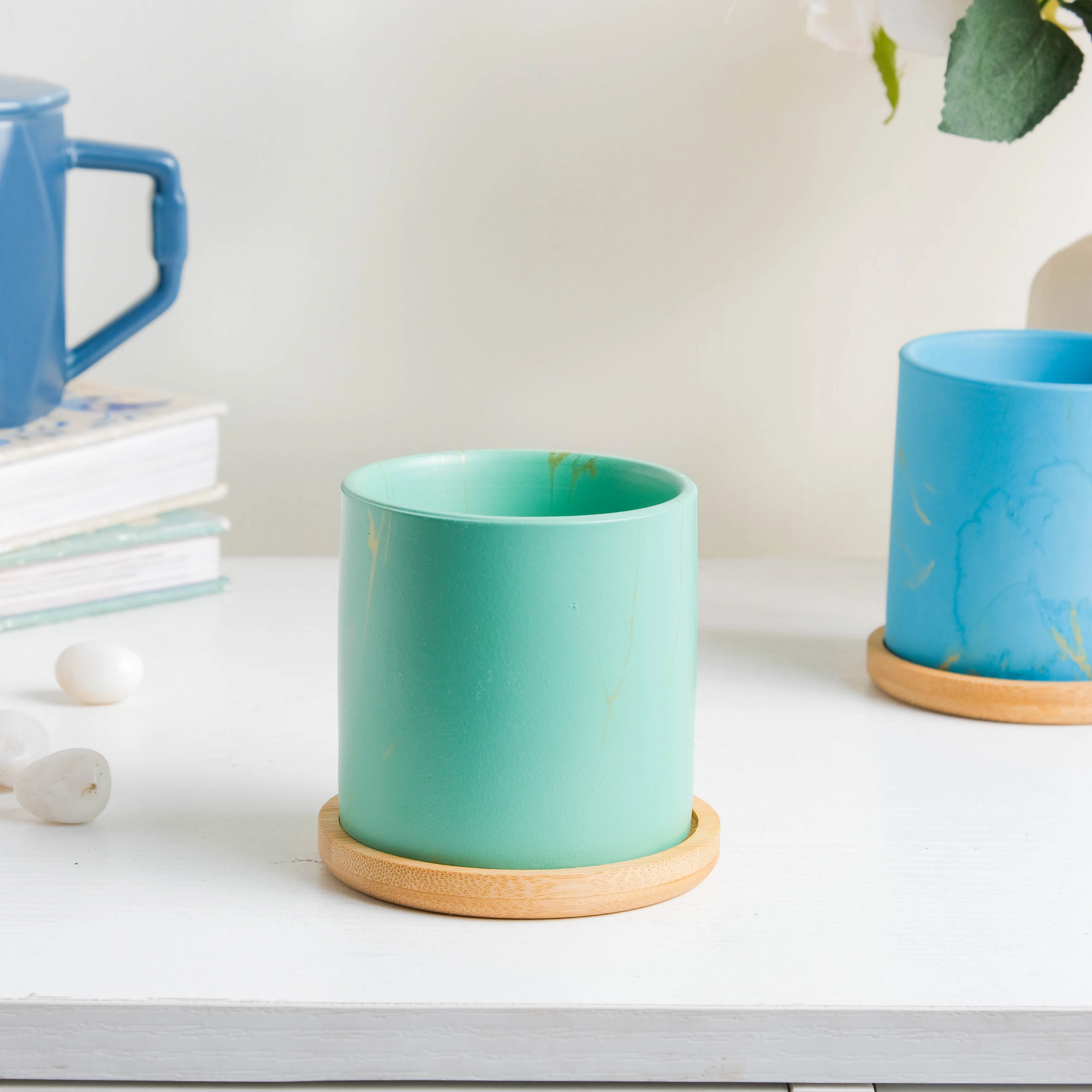 Leafy Green Planter With Coaster - Image 2