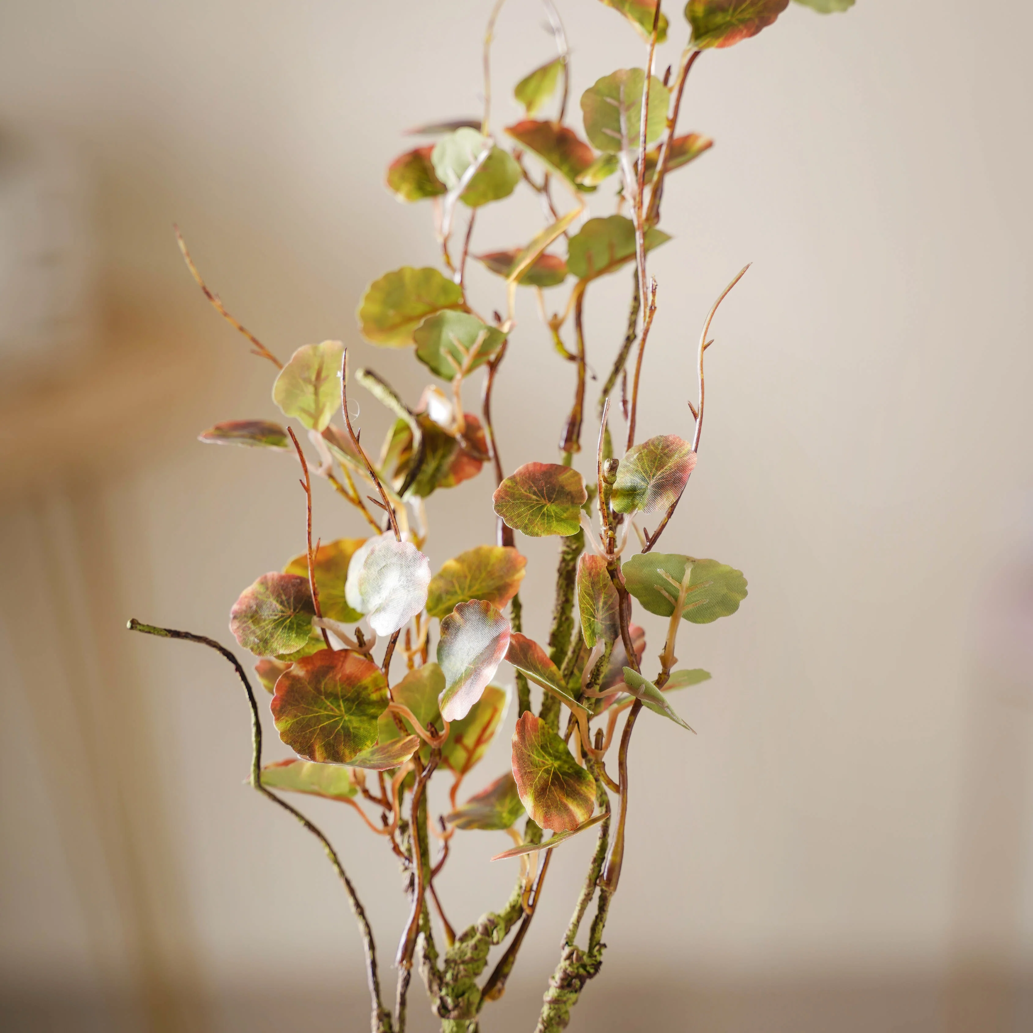 Leaves For Flower Arrangements - Image 4