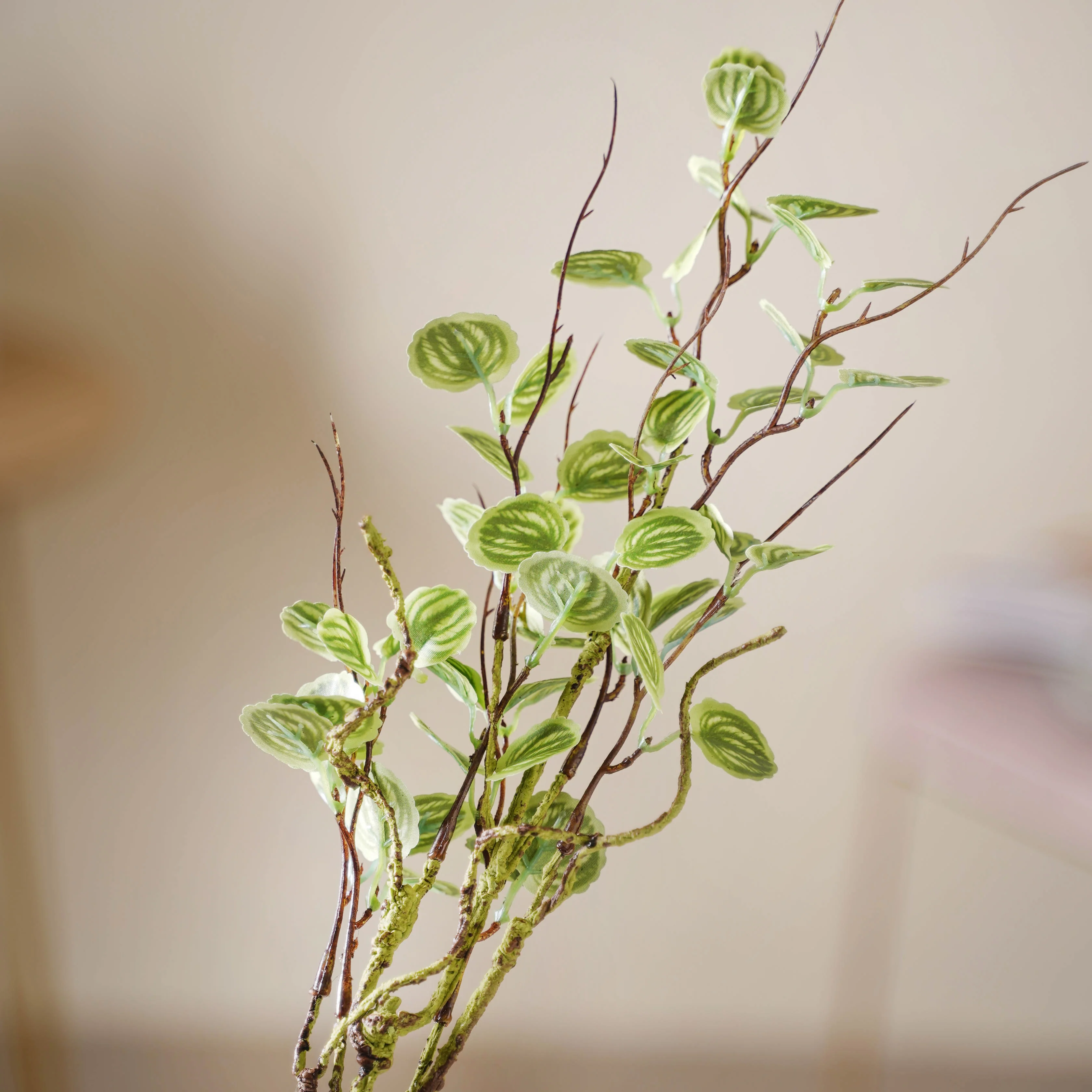 Leaves For Flower Arrangements - Image 7