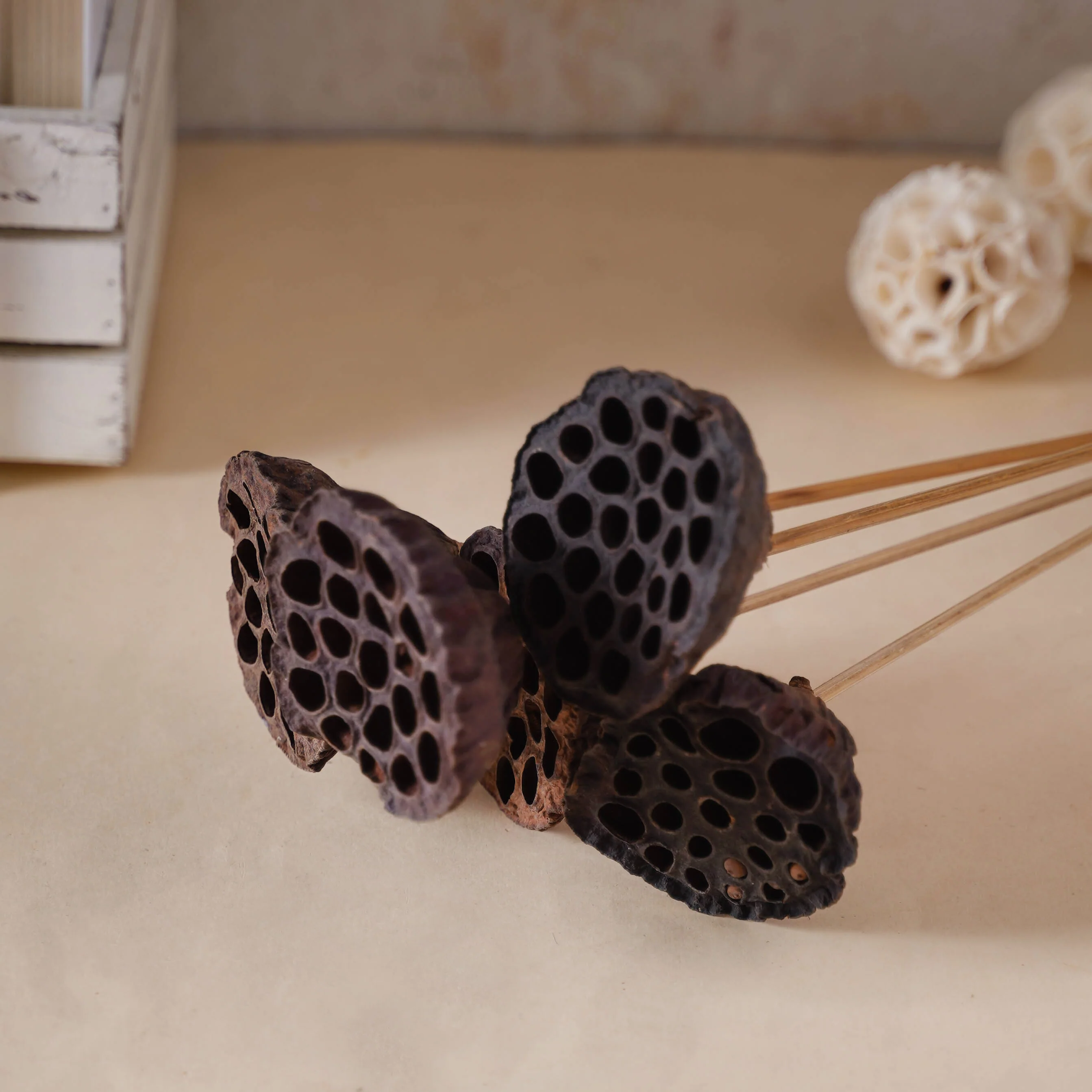 Lotus Seed Pod - Image 2