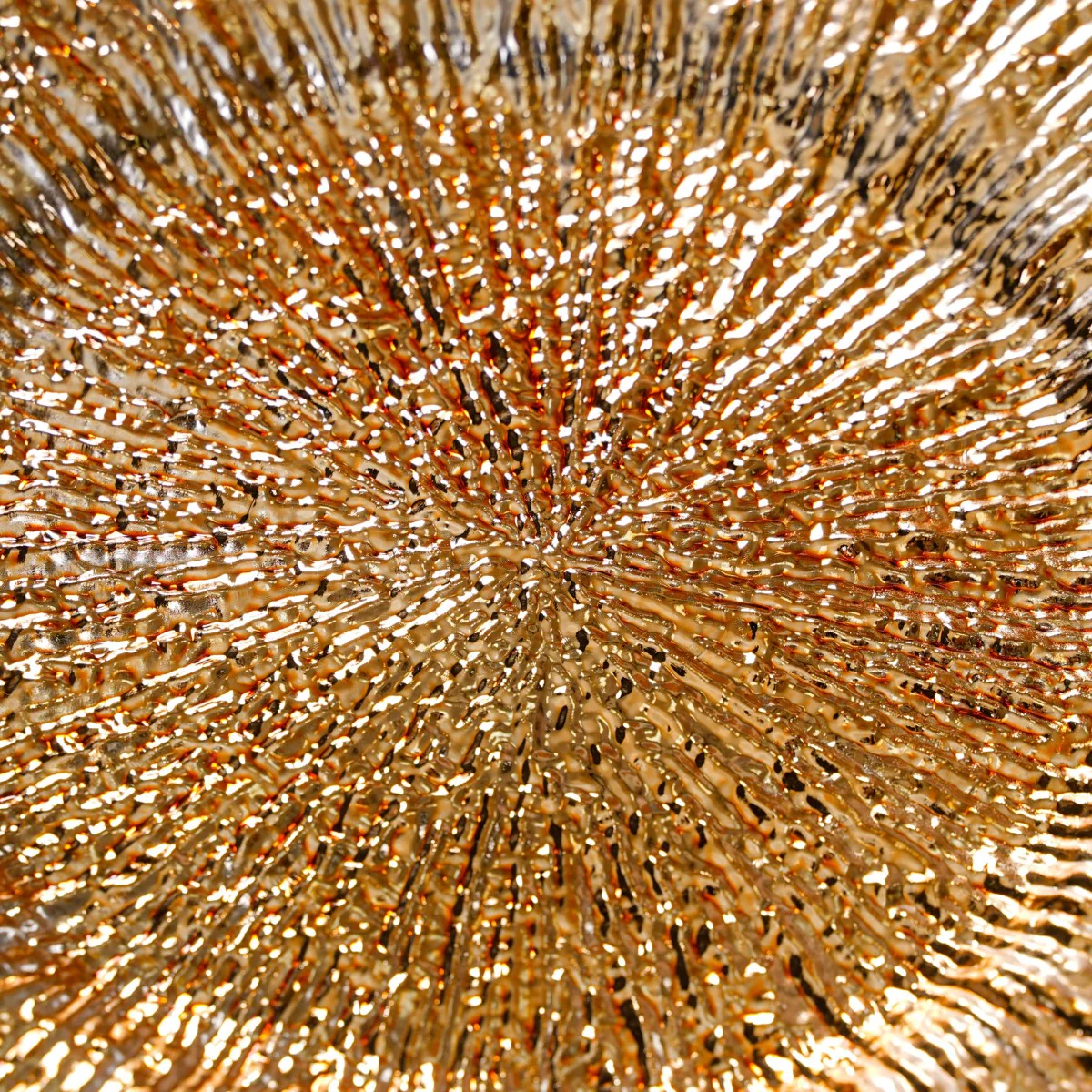Luxury Gold Reef Charger Plate Set Of 6 12 Inch - Image 12