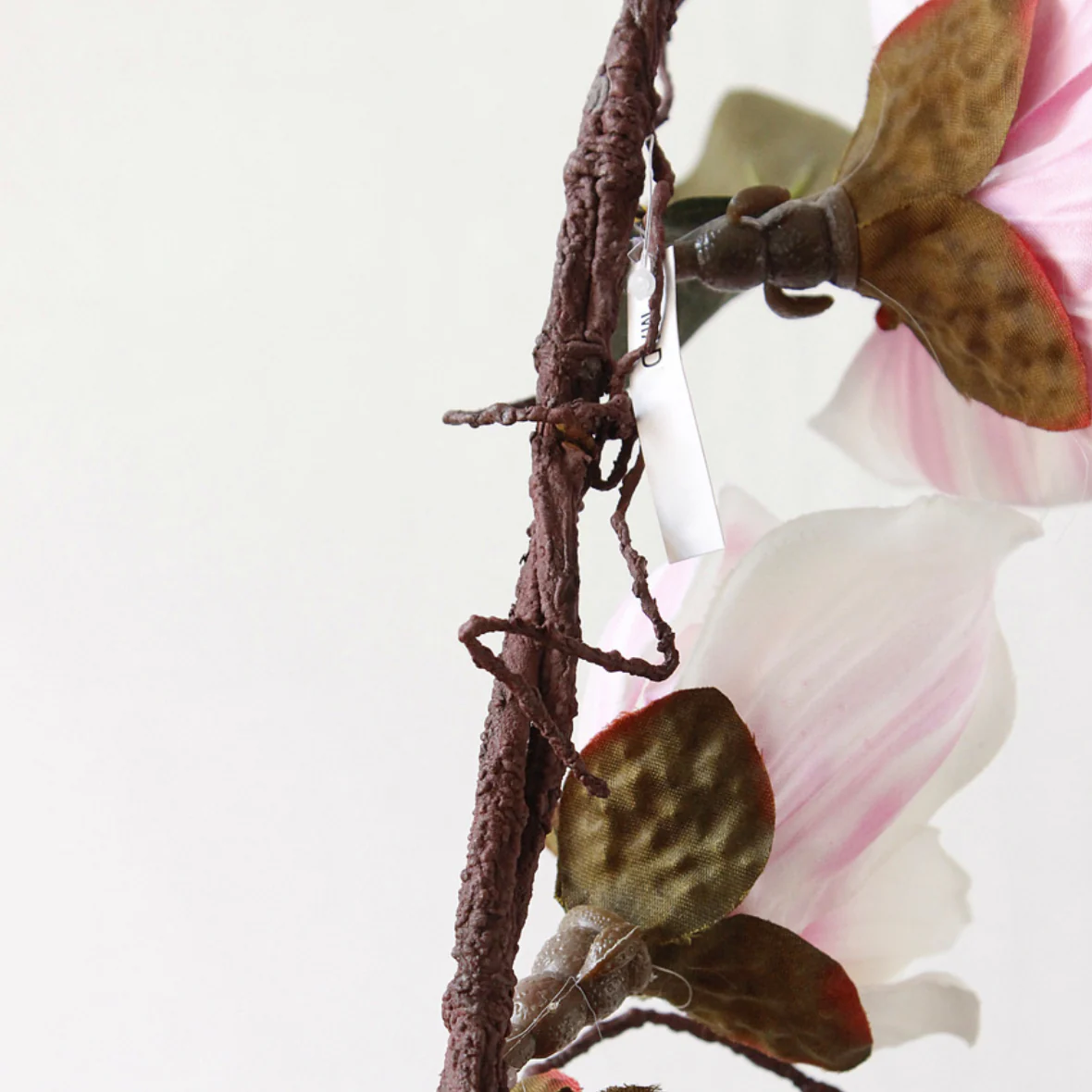 Magnolia Vine - Image 18