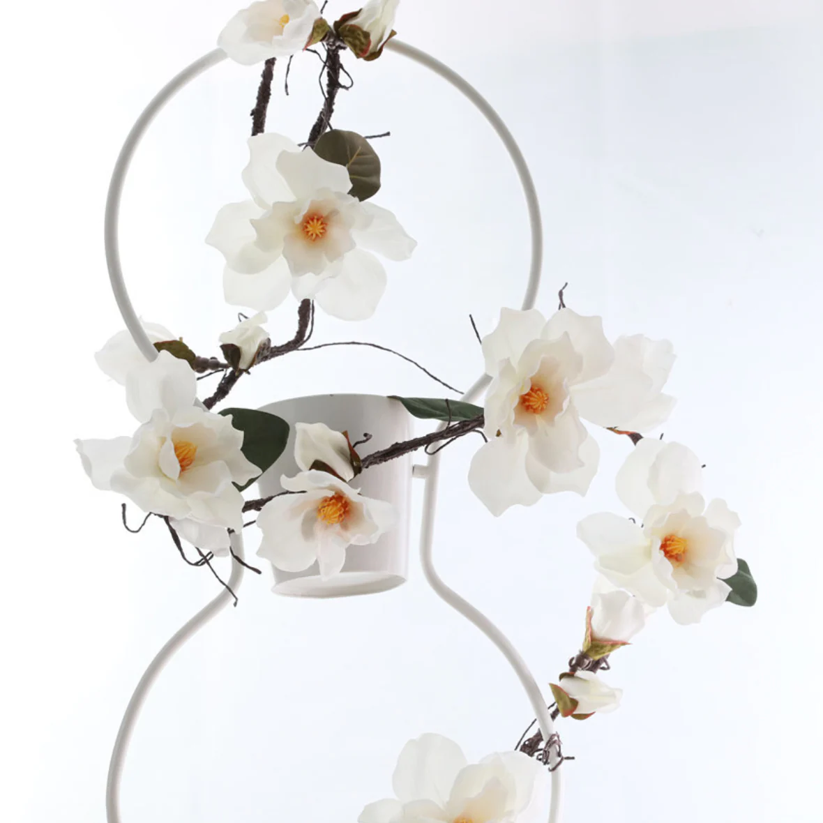 Magnolia Vine - Image 20