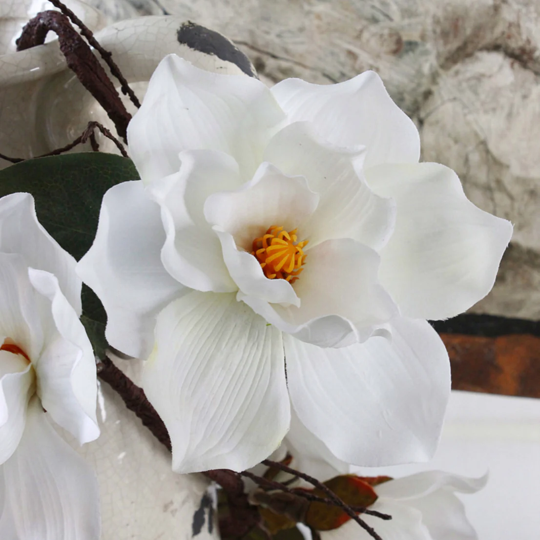 Magnolia Vine - Image 6