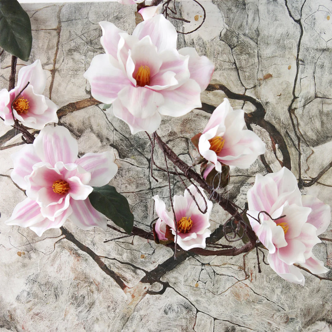 Magnolia Vine - Image 7