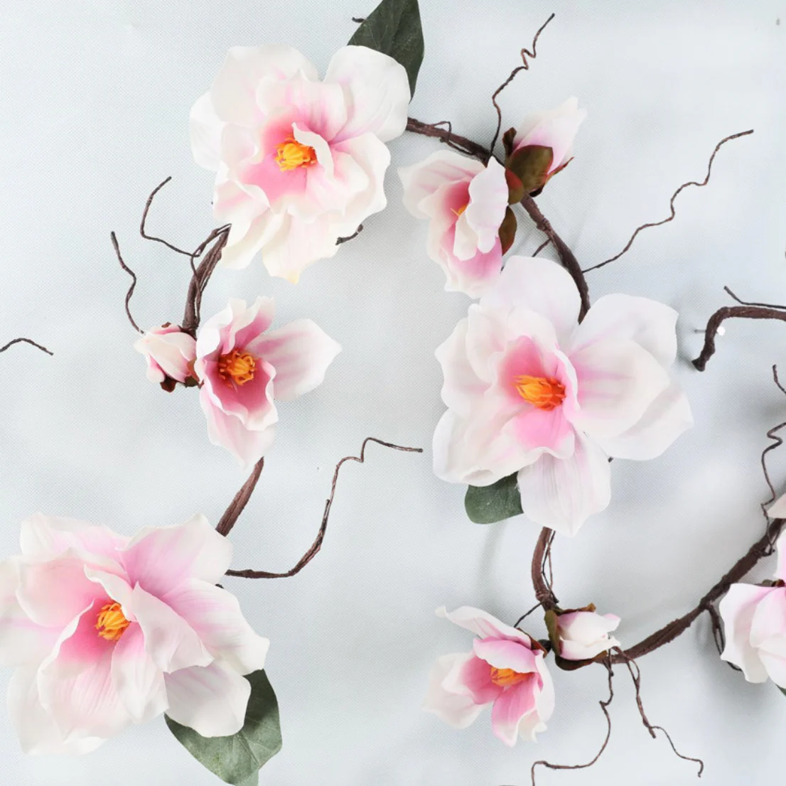 Magnolia Vine - Image 8