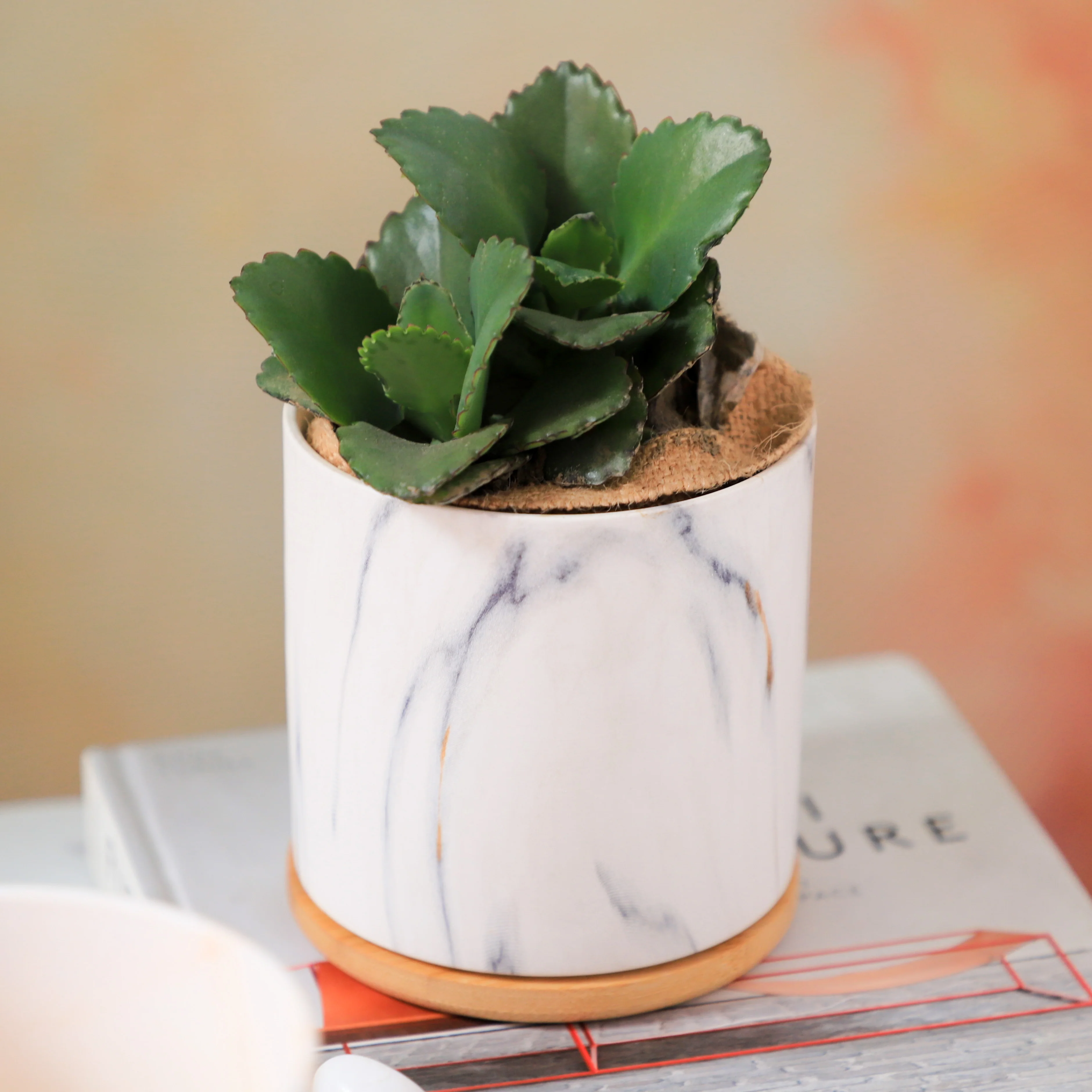 Marble Aura Planter Pot With Coaster Set Of 2 - Image 3