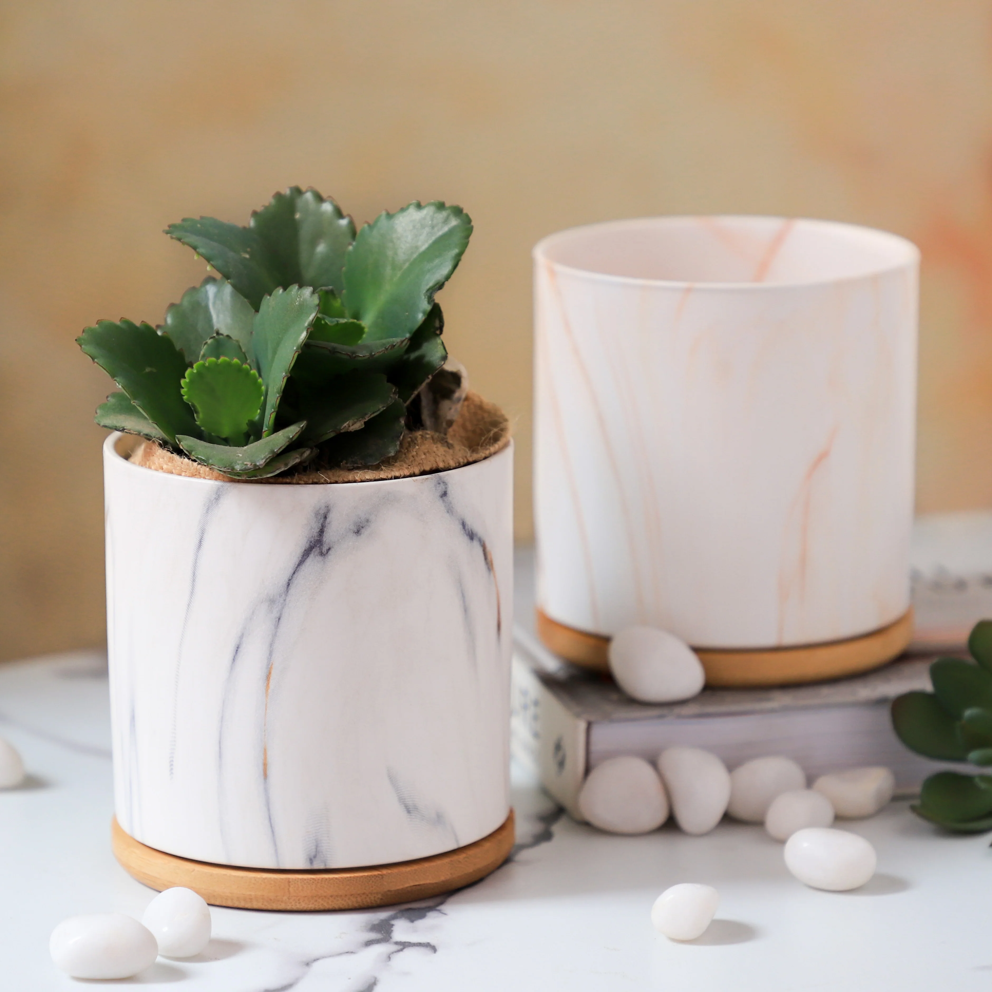 Marble Aura Planter Pot With Coaster Set Of 2 - Image 7