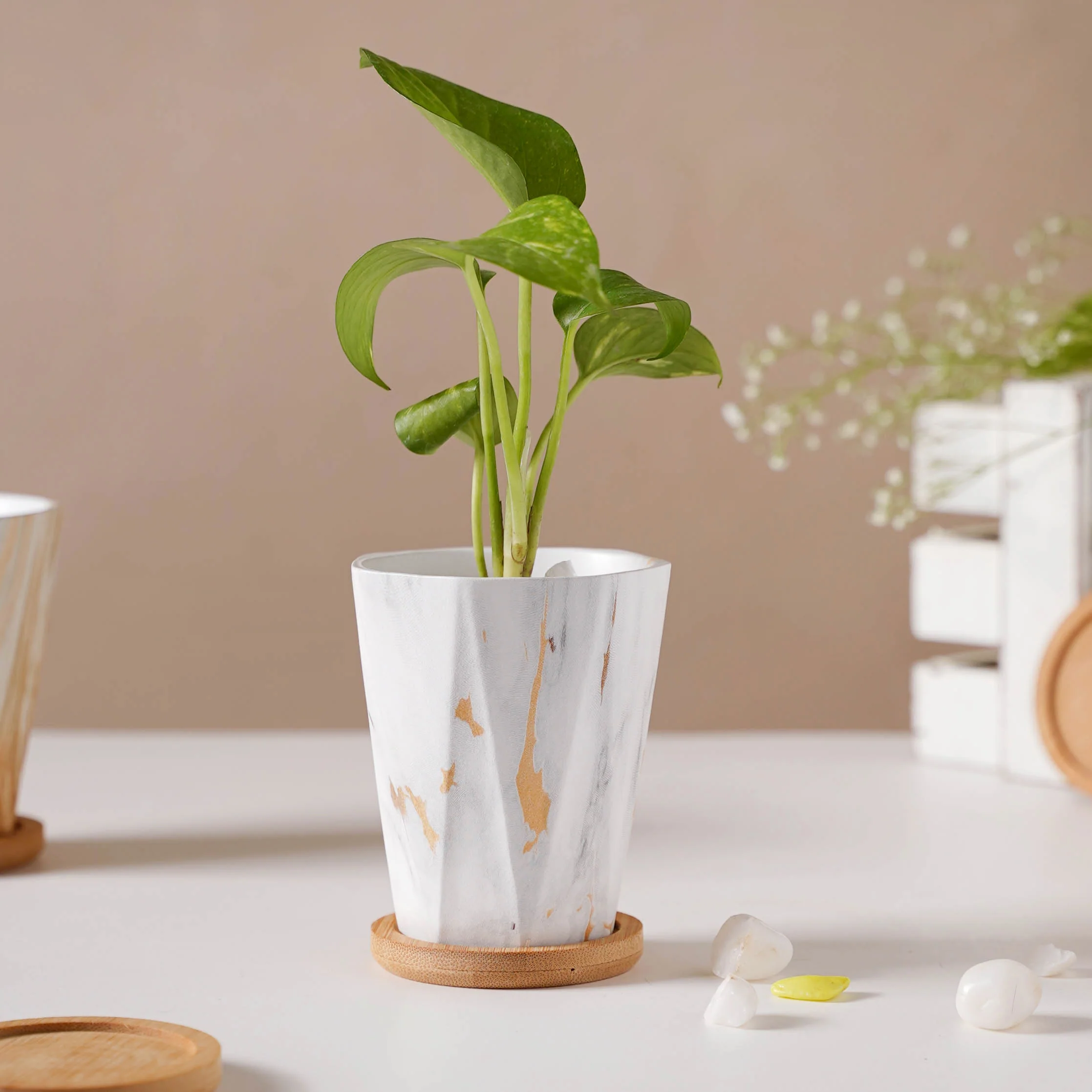 Marble Wonder Flower Planter With Coaster Set Of 6 - Image 12