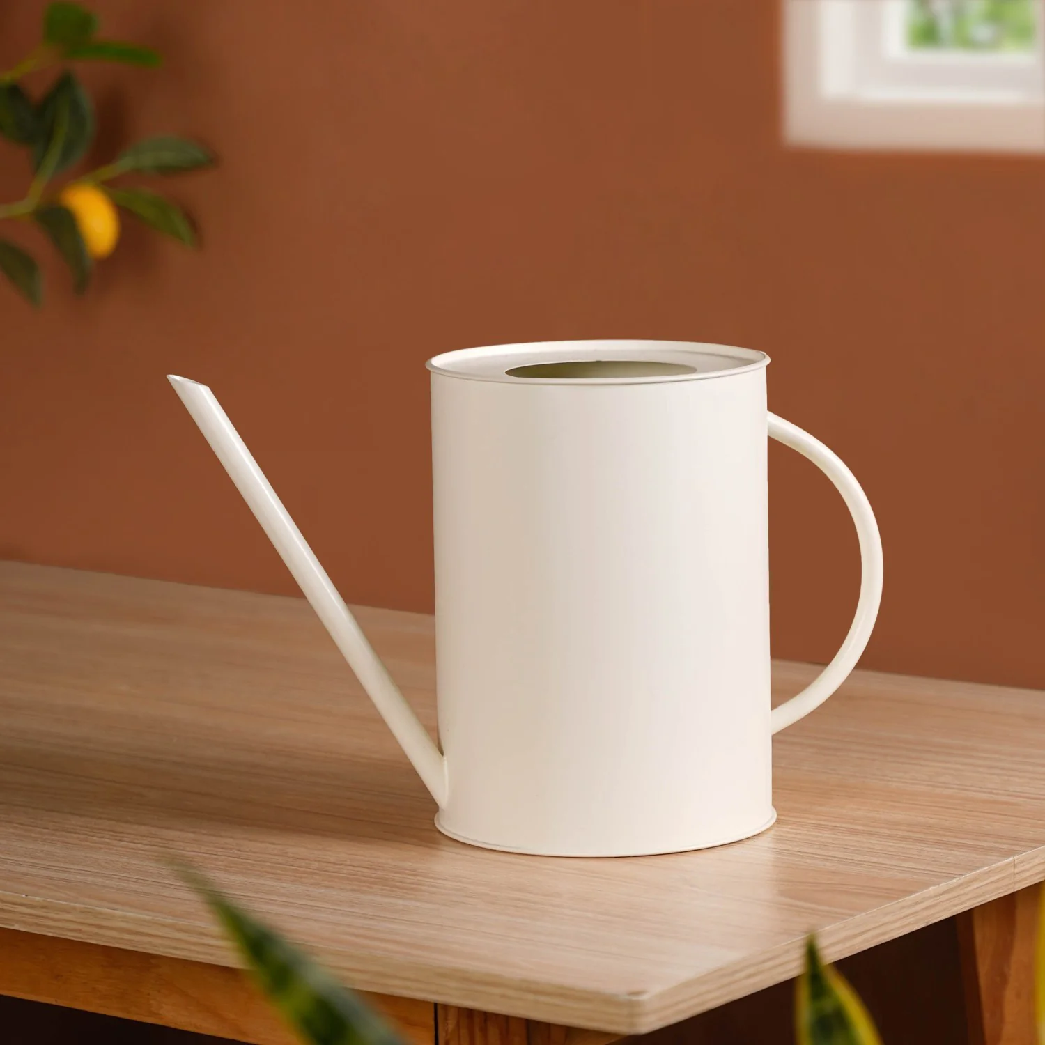 Matte Finish Metal Watering Can Off White