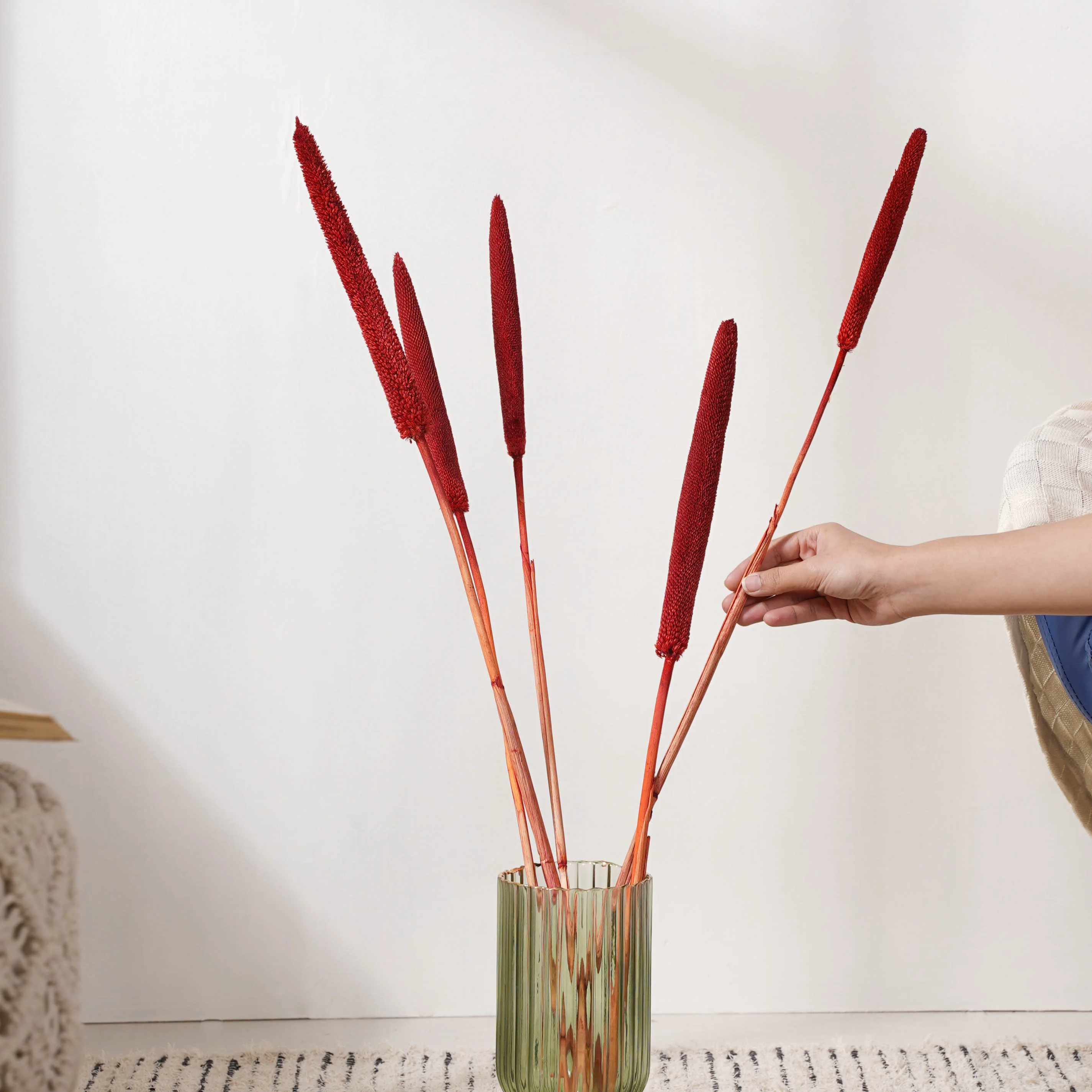 Millet Stem Red