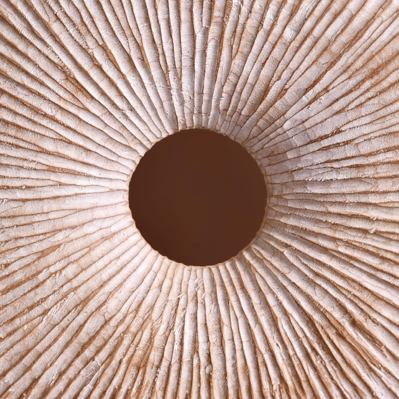 Modern Round Accent Decor - Image 6